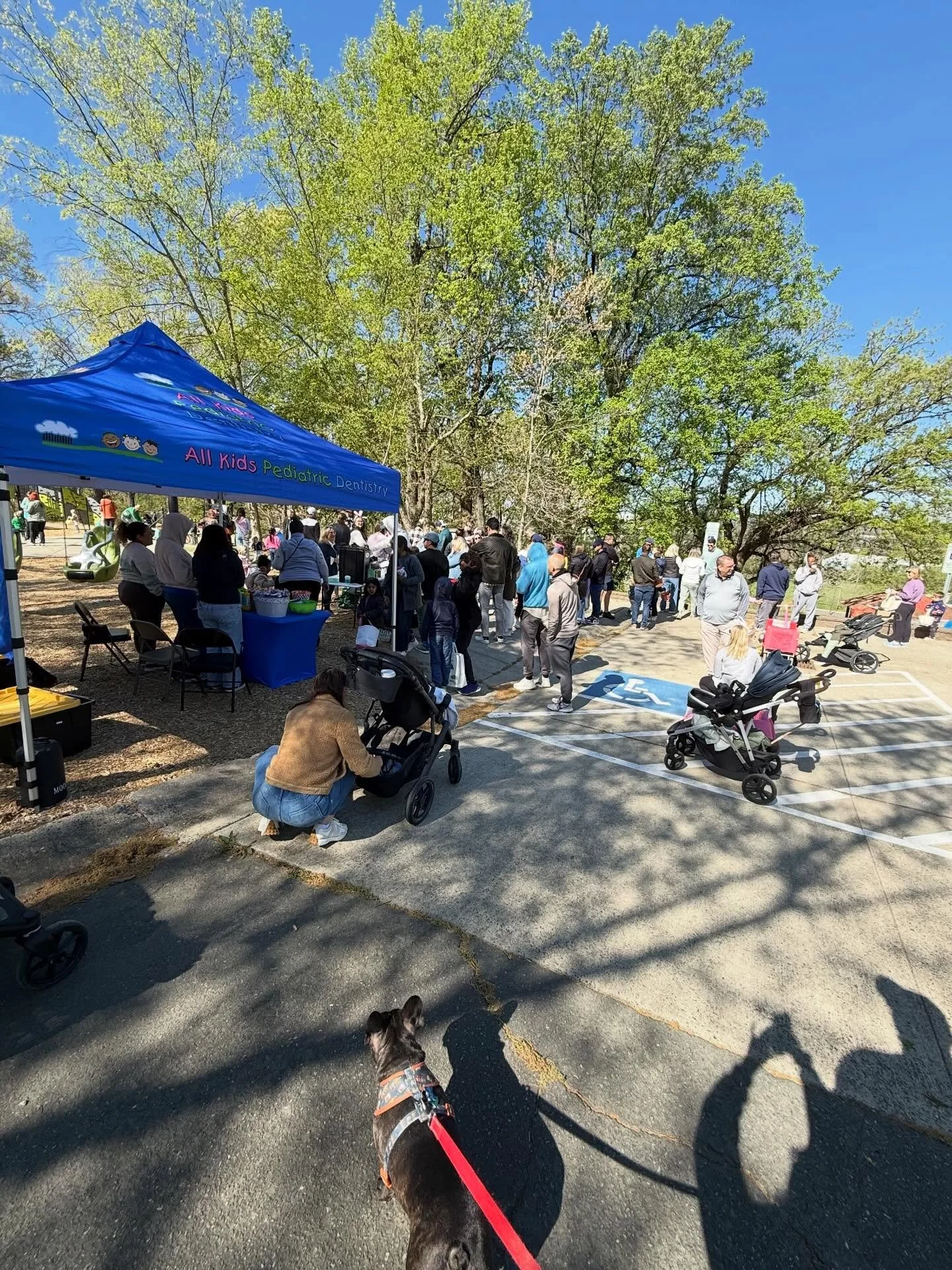 What an awesome turnout! 

Thanks to everyone who came out to hunt for eggs!  It was a cool but perfect day to gather in the park and have a fun time. 

HUGE THANKS to the VHCO board, Moms, and all the volunteers who stuffed and hid eggs!!

And we&rs