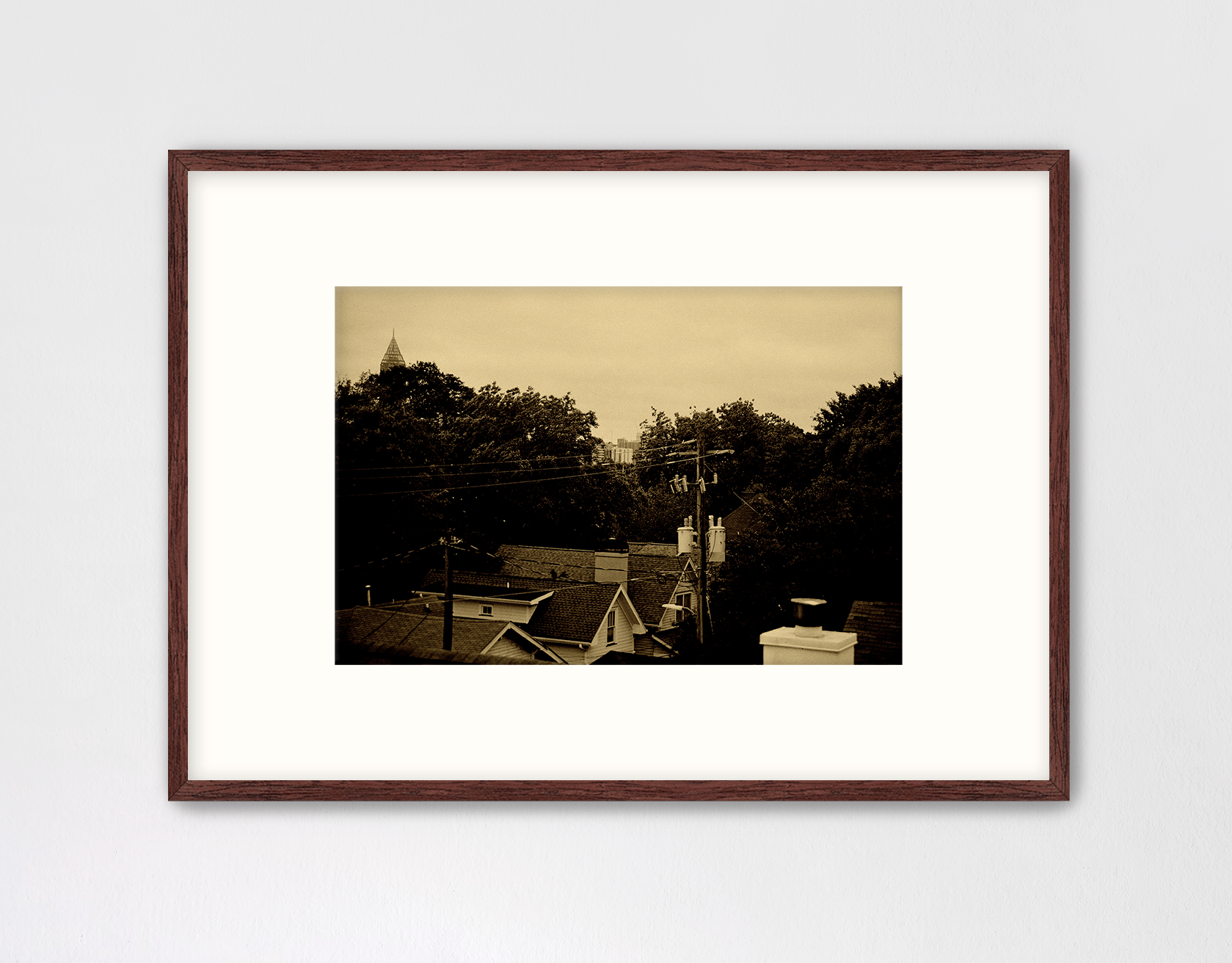 city in a forest.png