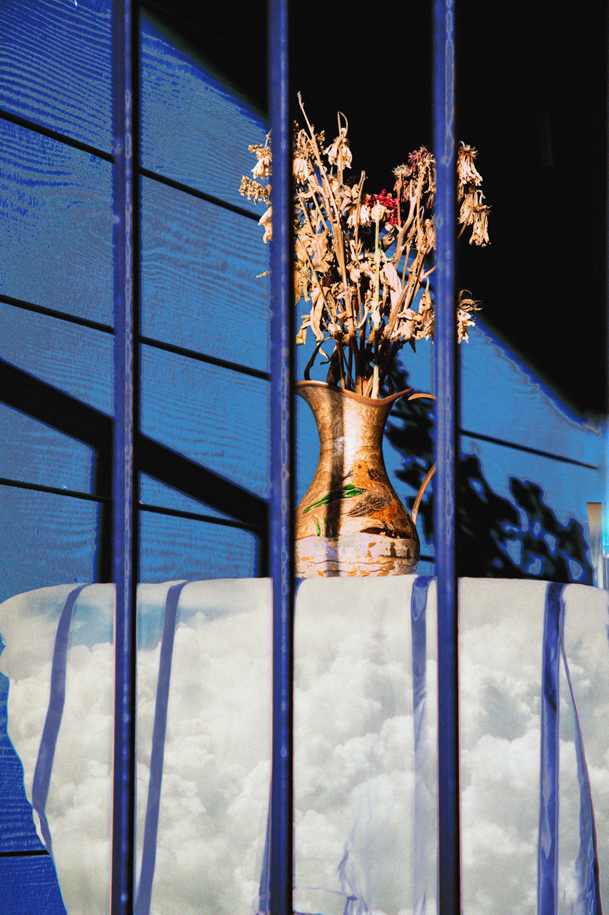 caged, She was Large.png