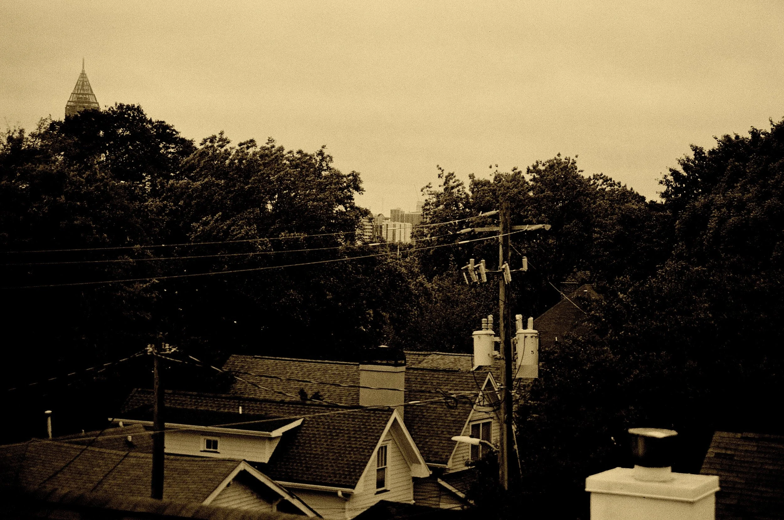 city in a forest.jpeg