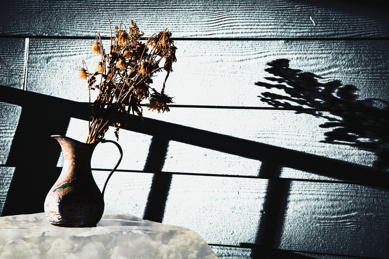 A ceramic vase with dried flowers on a white table, casting a shadow of leaves on a textured wall in the background.