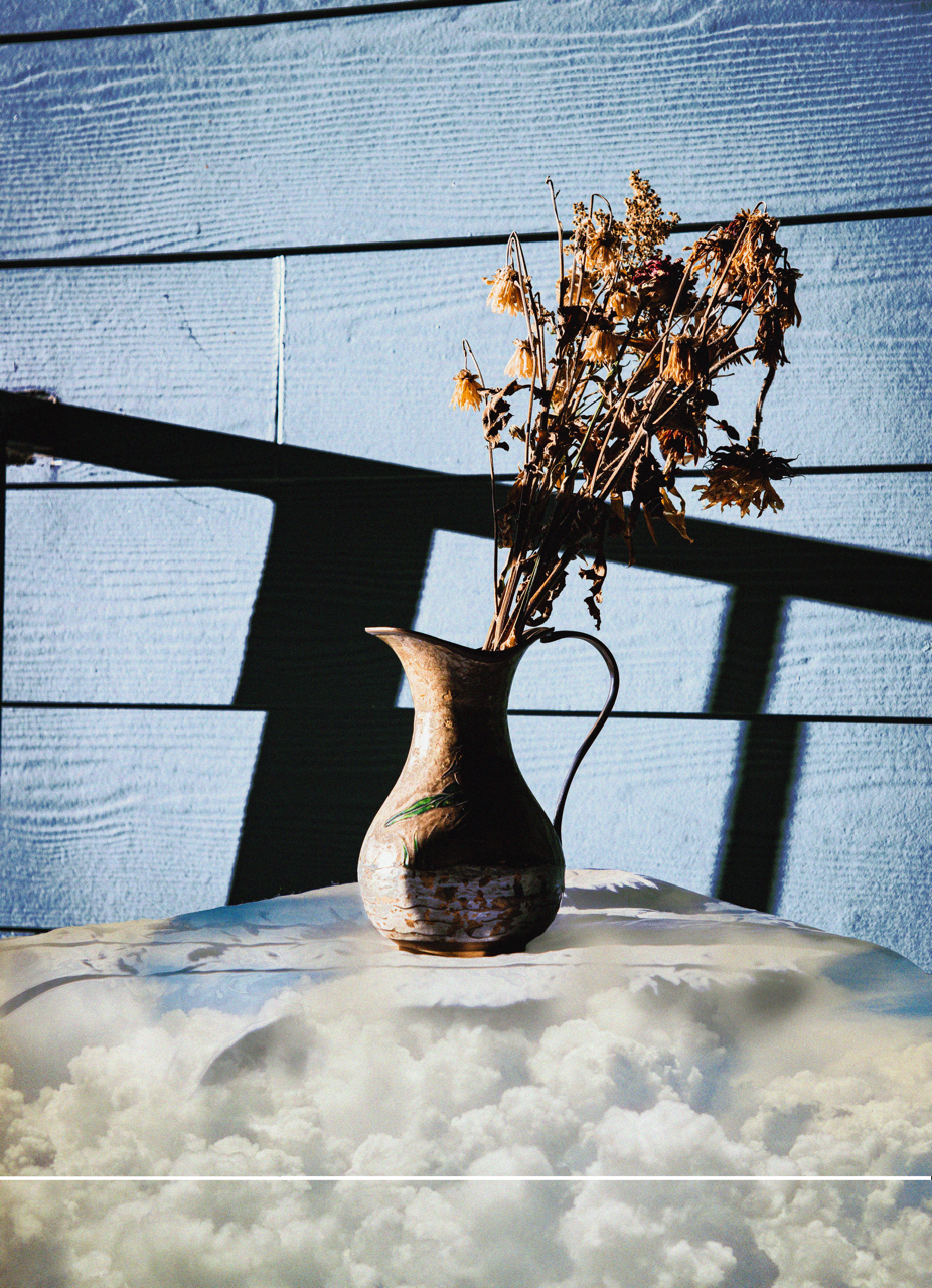 A ceramic vase with dried flowers on a surface covered with clouds, against a blue wooden wall with shadows.