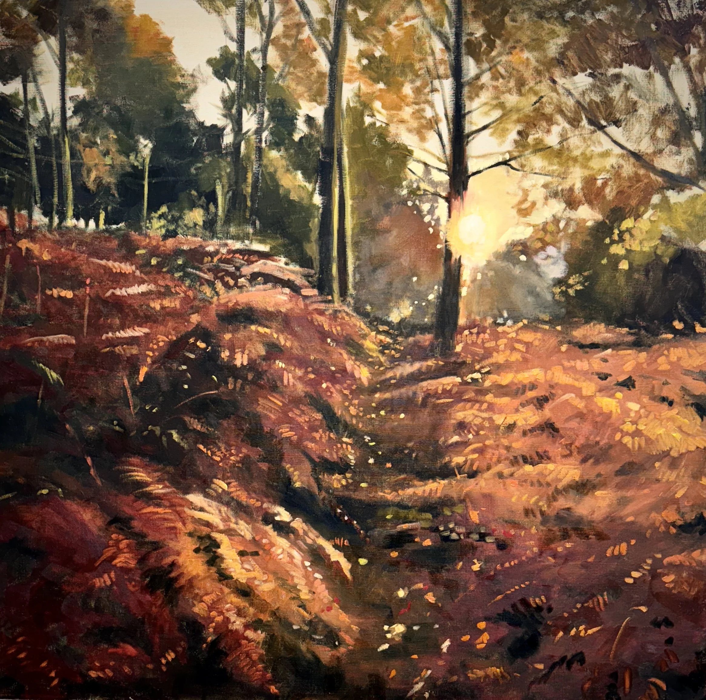 Bracken Afire, oil on board, 76x76