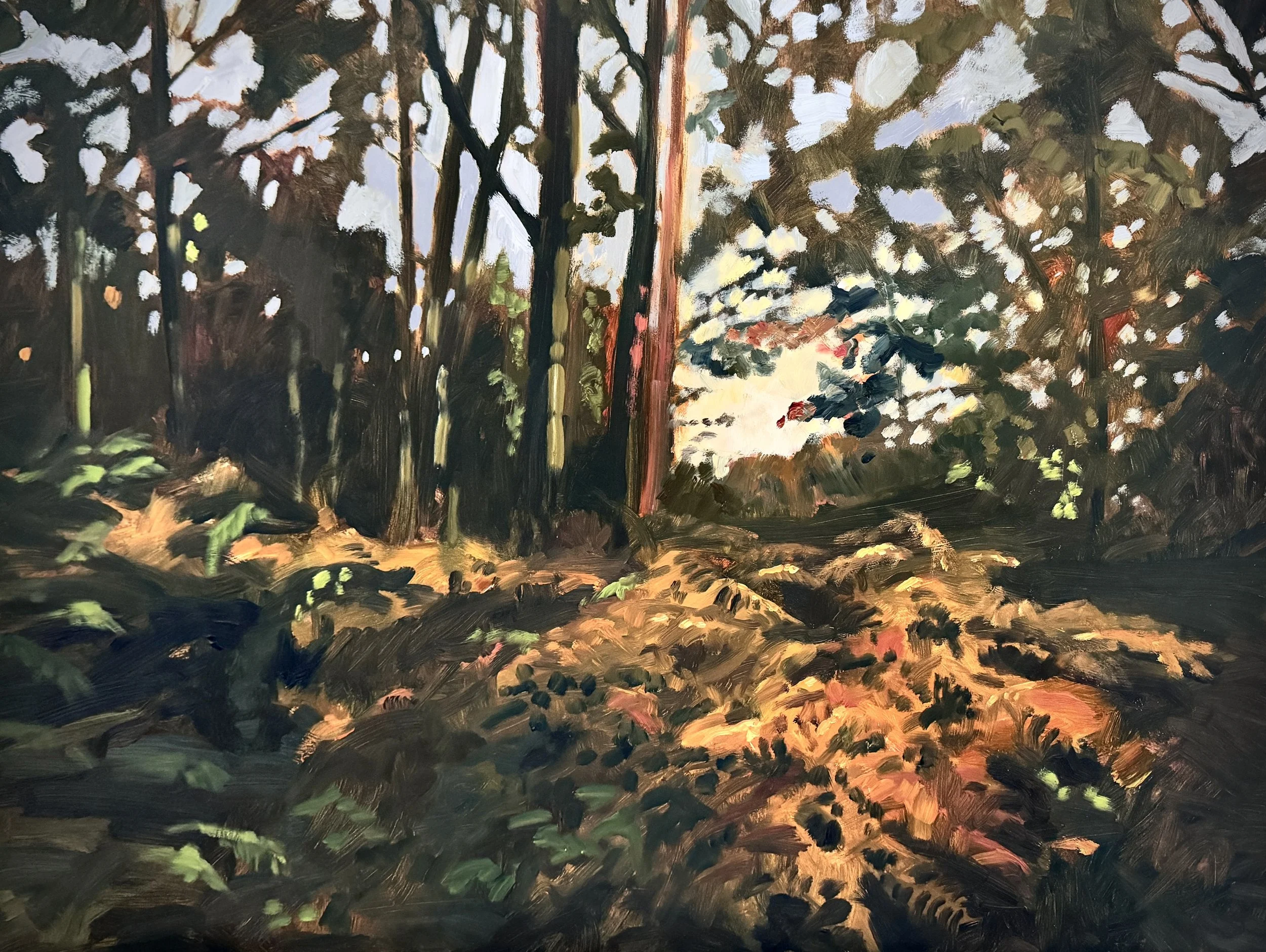 Bracken, oil on board, 60x45cm