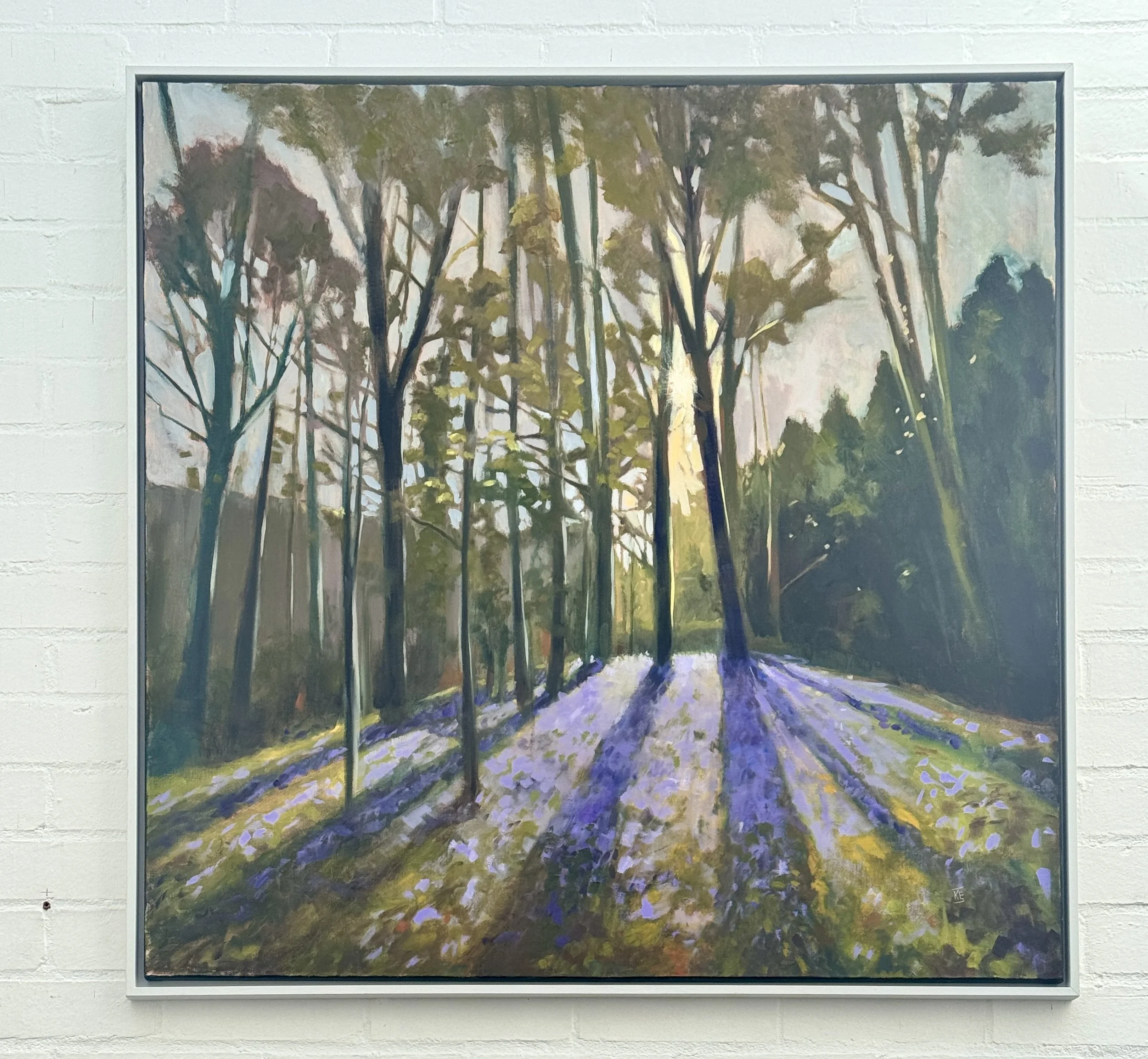 Bluebell Wood
