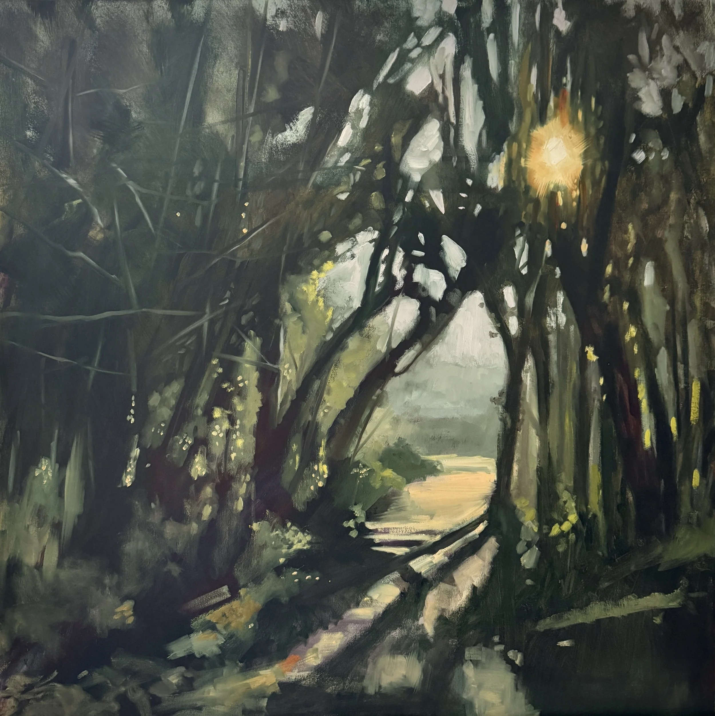 Into the Forest, oil on canvas, 50x50cm