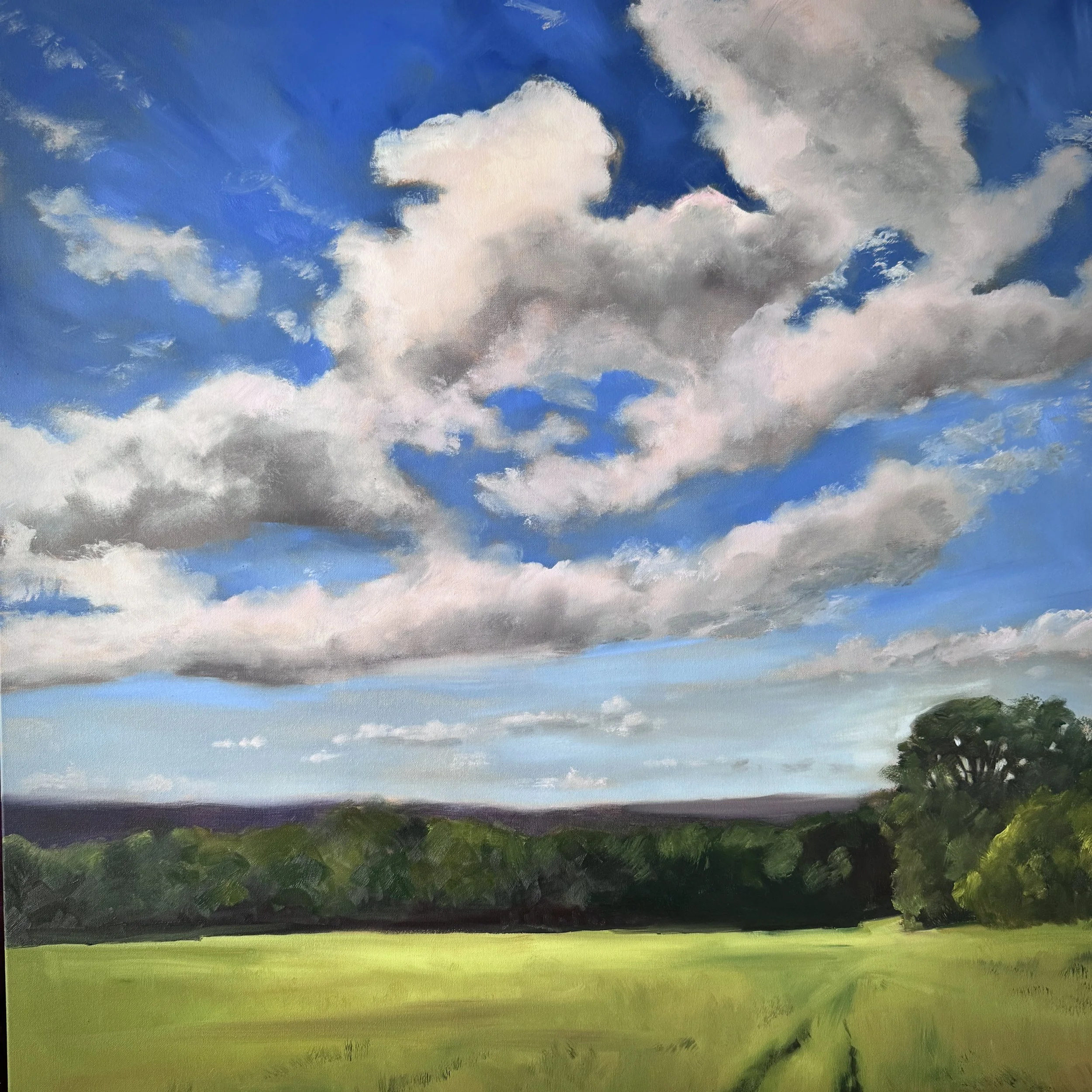 Summer Field.jpg