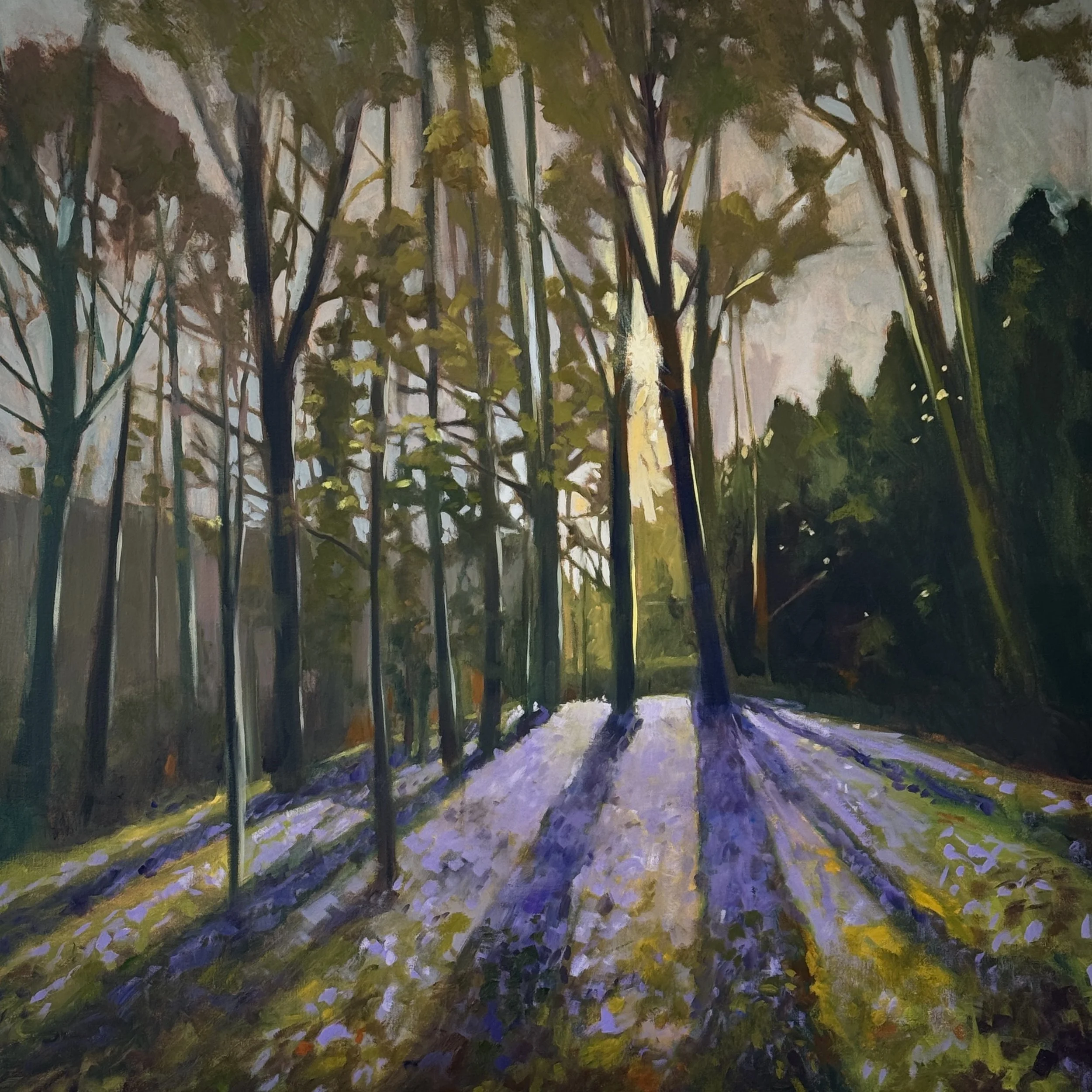The Bluebell Wood (Flaxley).jpg