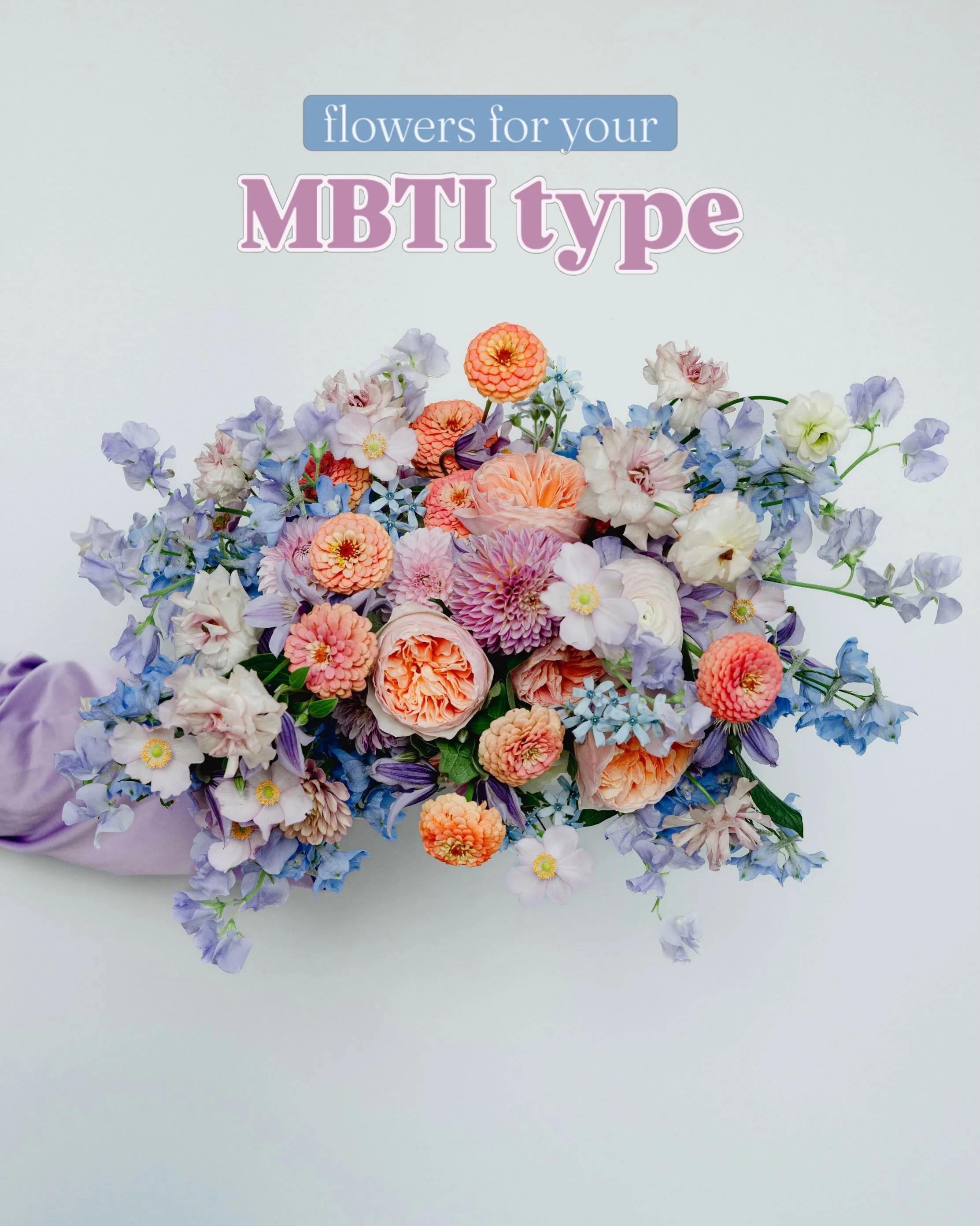what MBTI types do you want to see next? 😊 

photo credits:

1️⃣ @em__powering 
2️⃣ @jbonadiophoto 
3️⃣ @corey.taylor.photography 
4️⃣ @sarahmccloskeyphoto 
5️⃣ @dawnderbyshire 

books are open for 2027 weddings! head over to our website to learn mo
