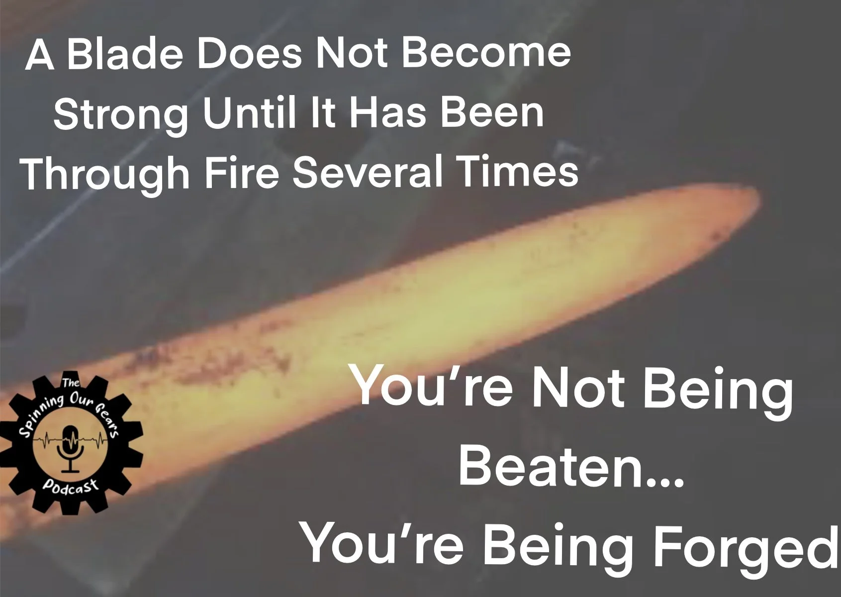 Untitled_Artwork (8).jpg