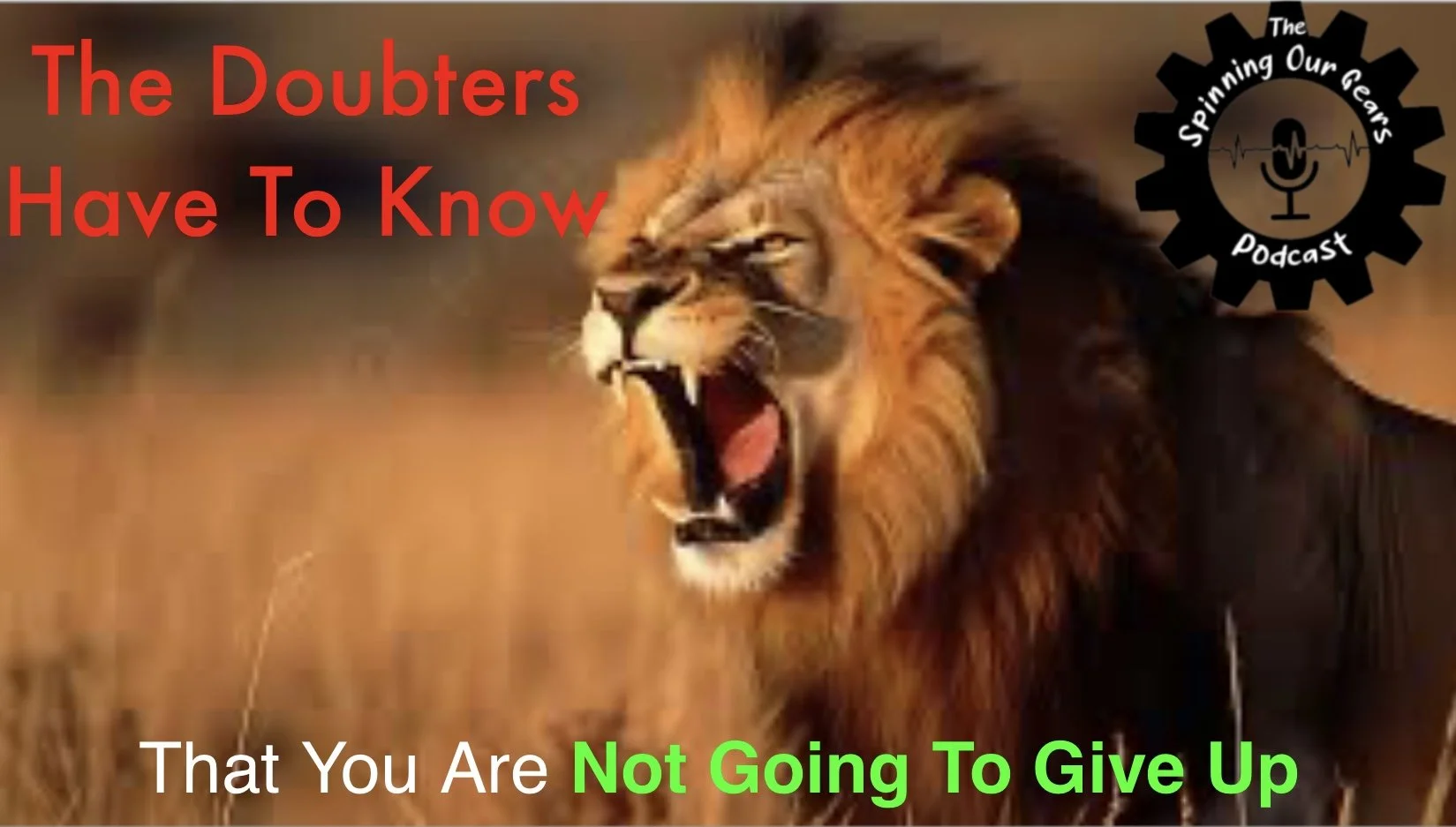 Untitled_Artwork (7).jpg