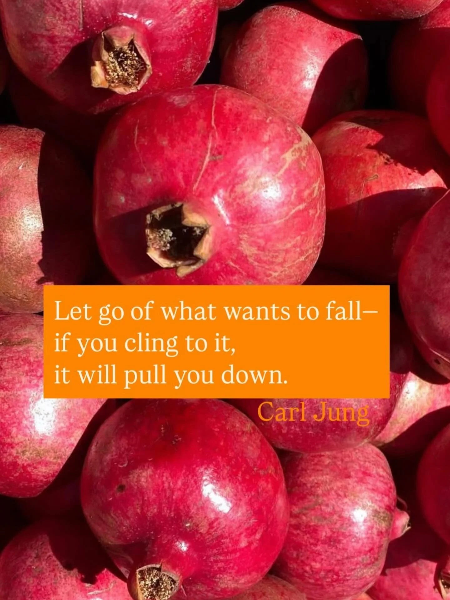 Let go of what wants to fall- if you cling to it, it will pull you down. Carl Jung.