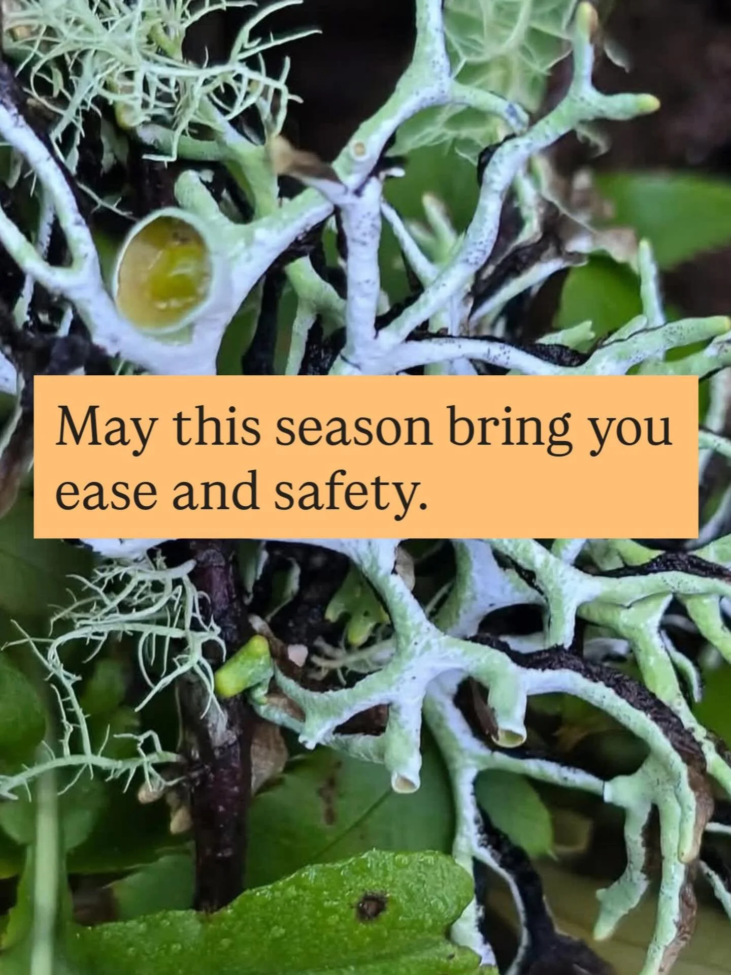 #Psychotherapy
#TherapyCommunity
#MentalHealthMatters
#traumainformed