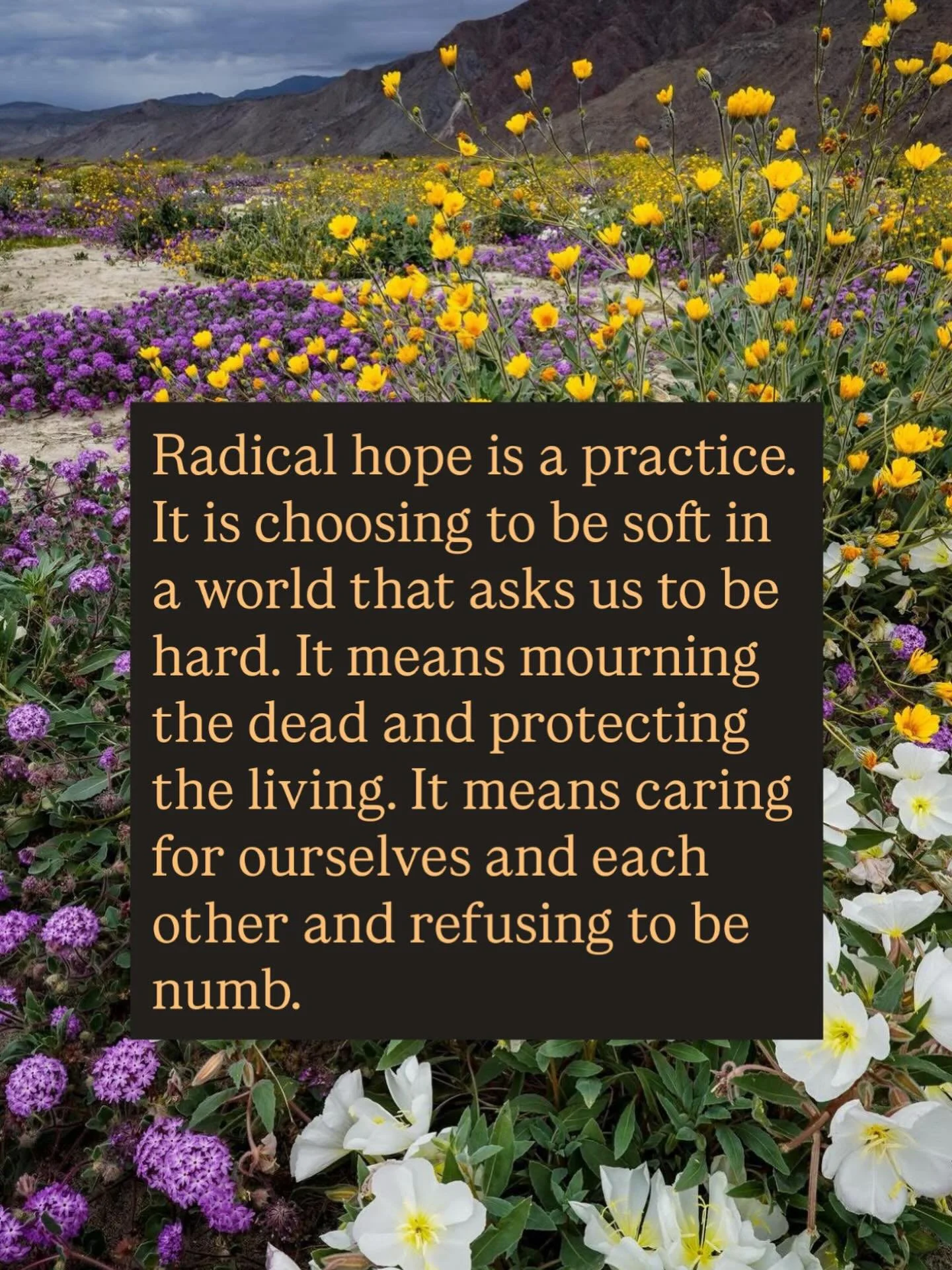 Care is resistance.  #RadicalHope #CollectiveCare #CareIsResistance #HealingInCommunity
#TraumaInformed