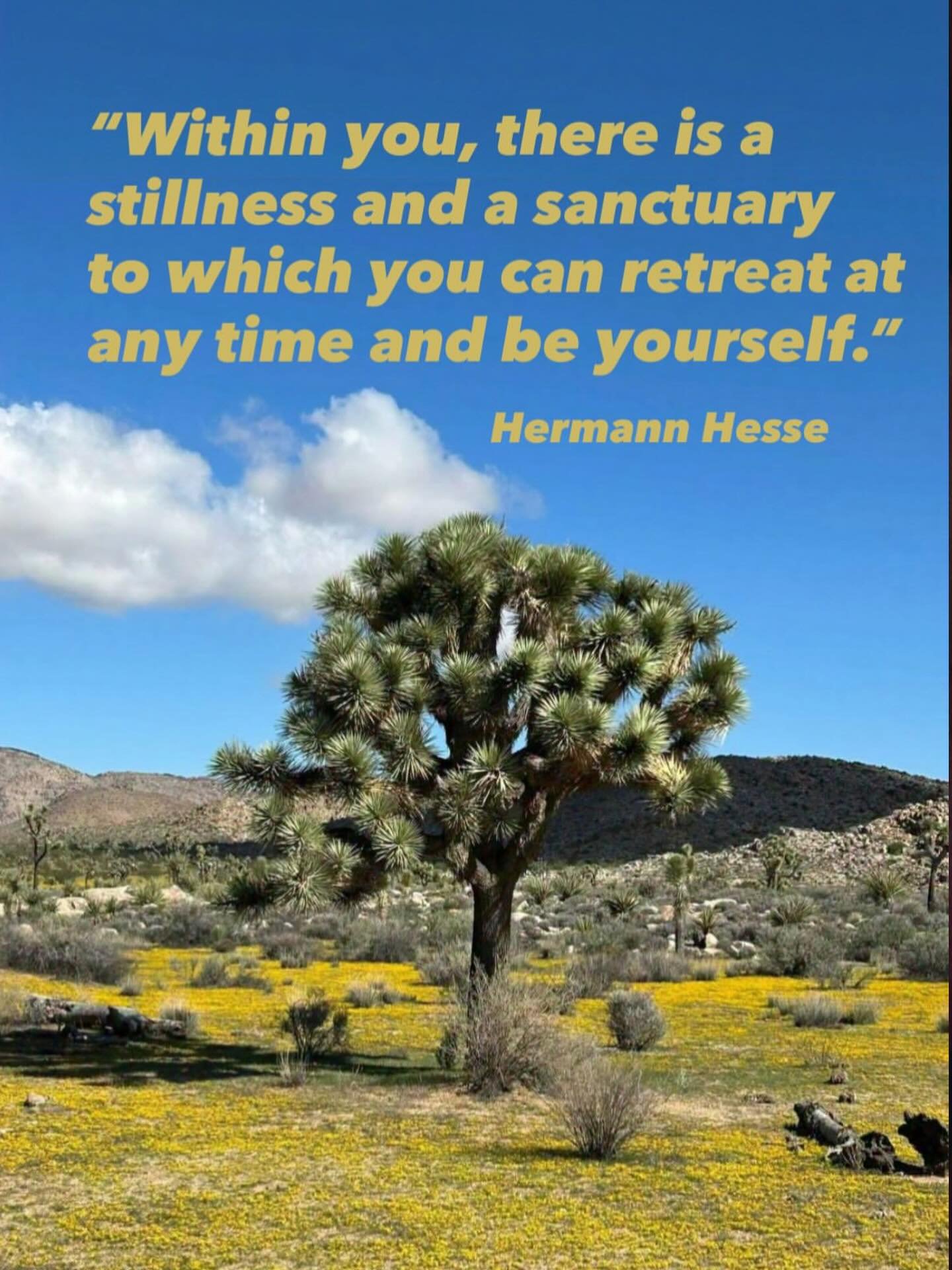 #mindfulnesspractice #psychotherapy #resiliency