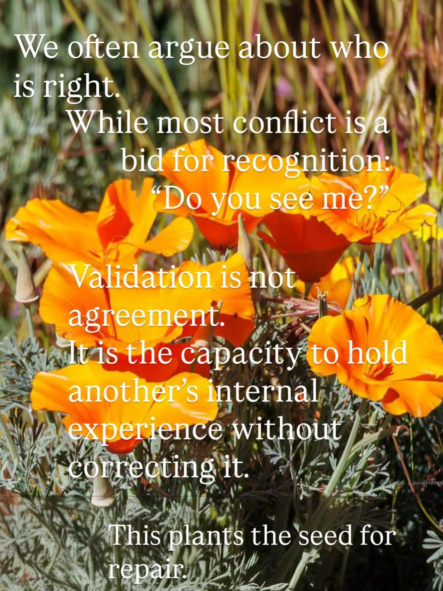 #repair #relationalwork #validation