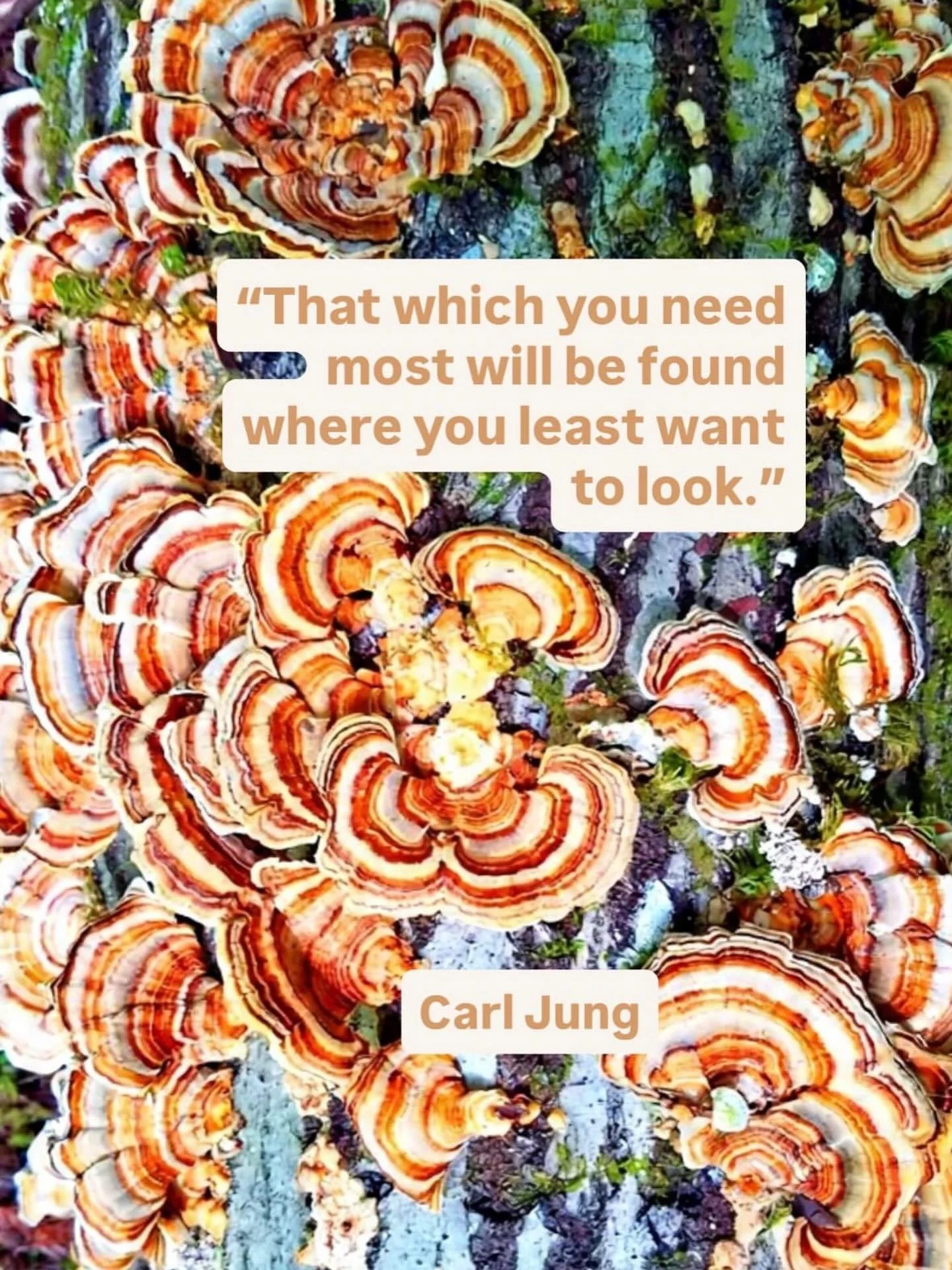 #carljung #shadowwork #psychotherapy