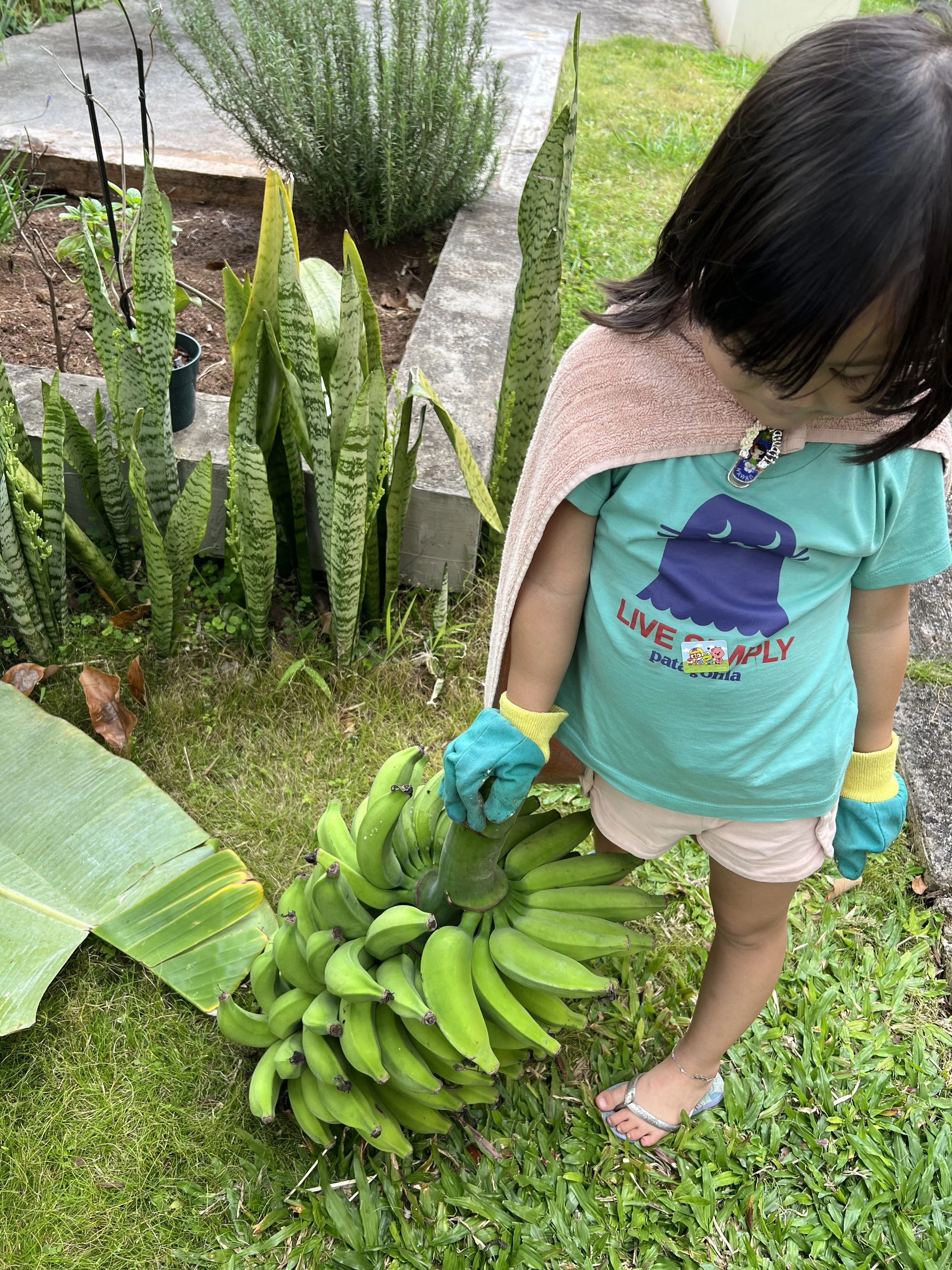 Why Eat Local &amp; “In Season”