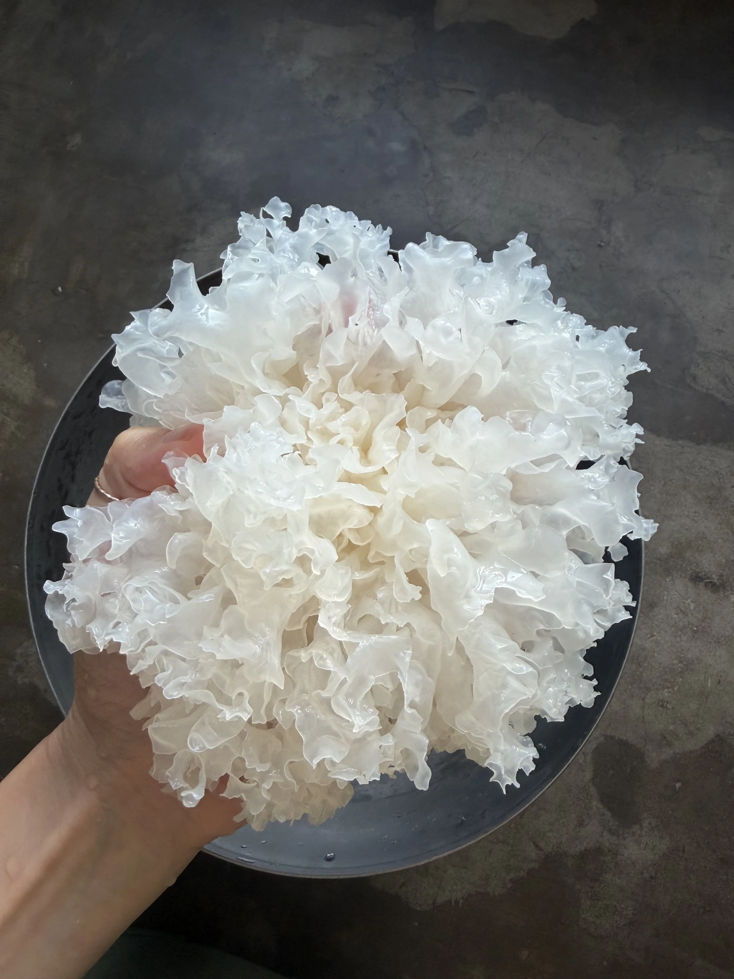 Tremella Dessert Soup (Snow Mushroom Tea)