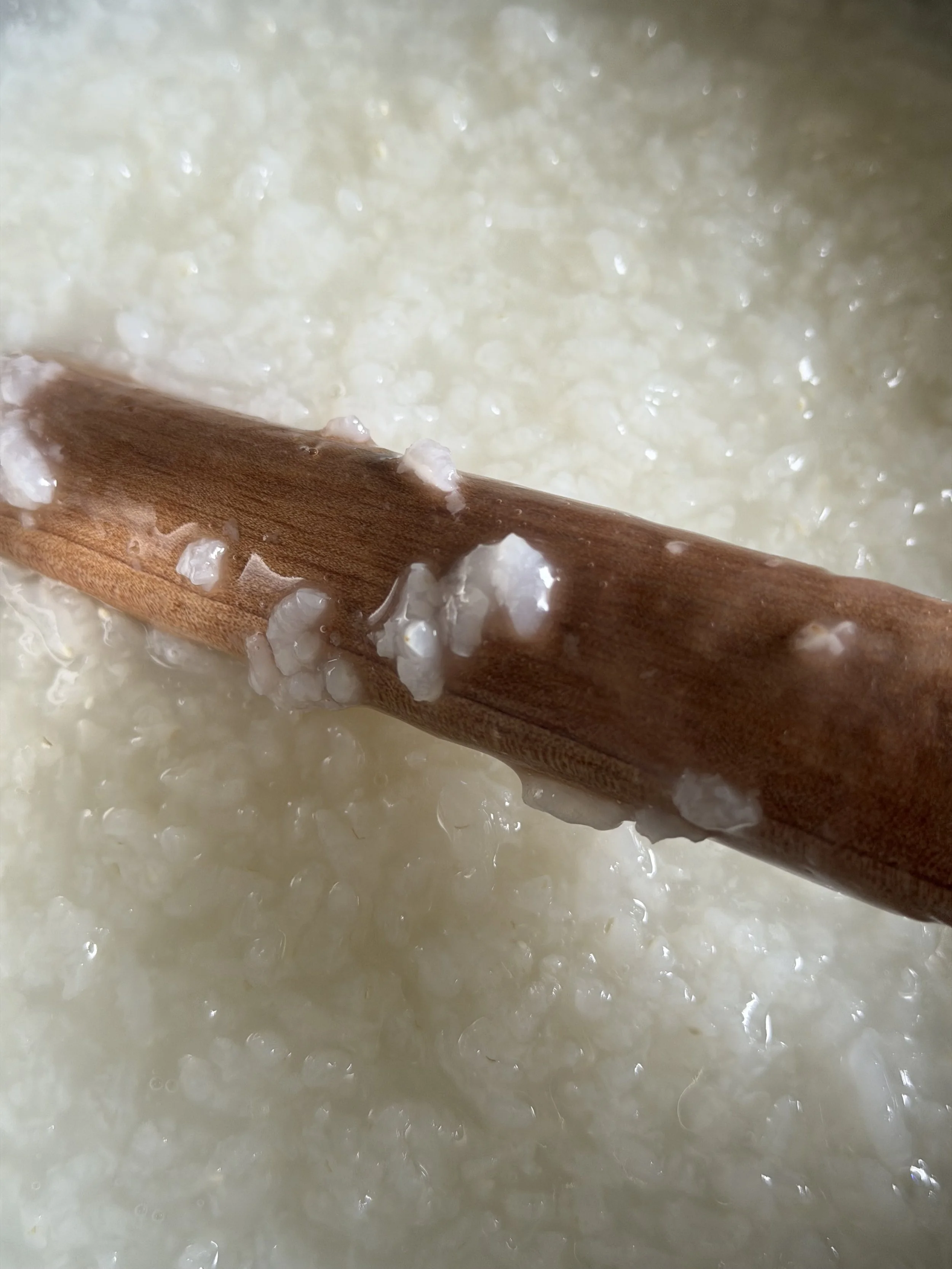 Wooden ladle stirring silky Korean white rice porridge with glossy rice milk coating the spoon