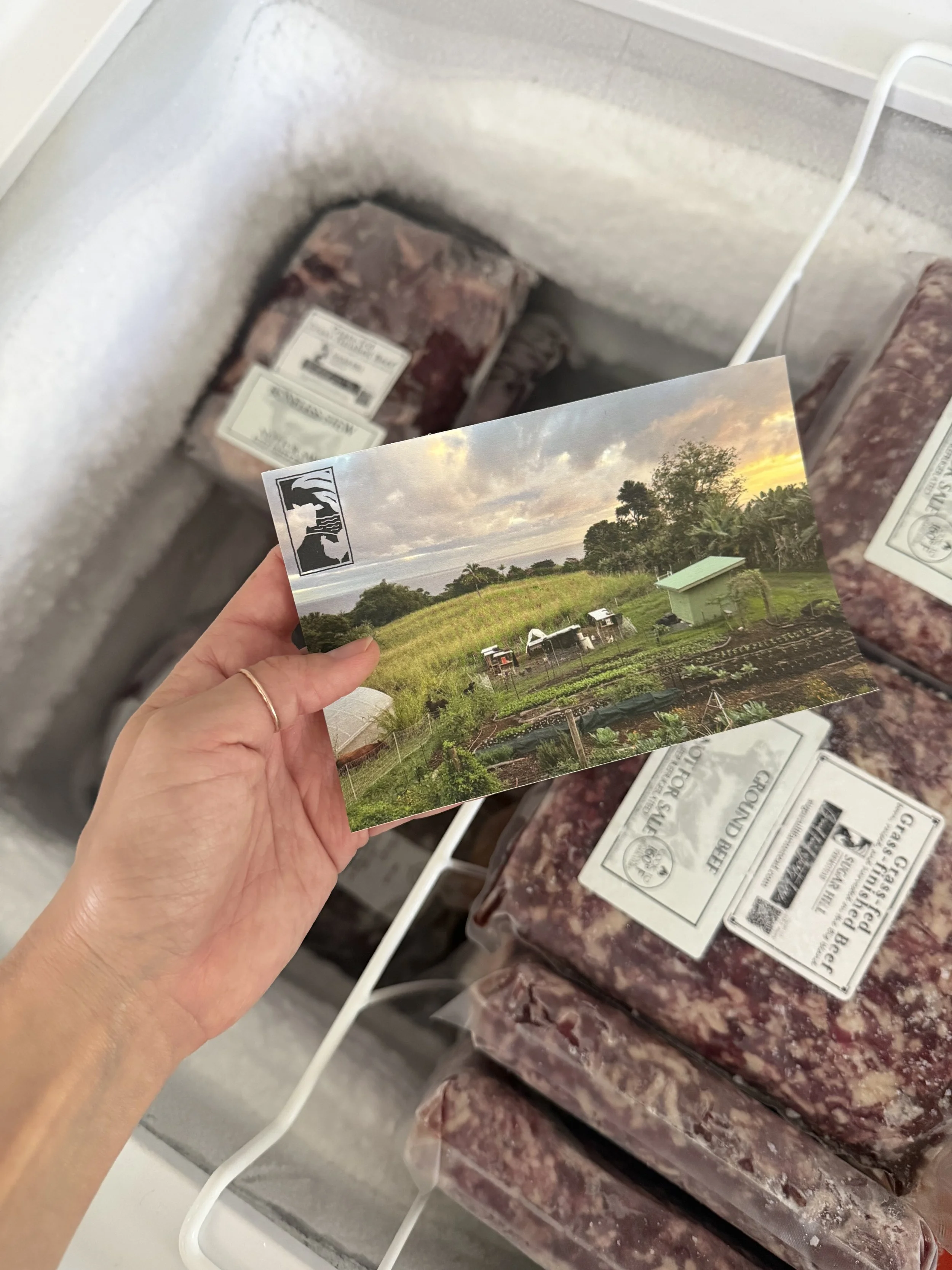 Quarter cow share neatly organized inside a deep chest freezer with assorted packaged cuts of beef, alongside a photo of the Hawaii pasture farm where the cattle are raised.