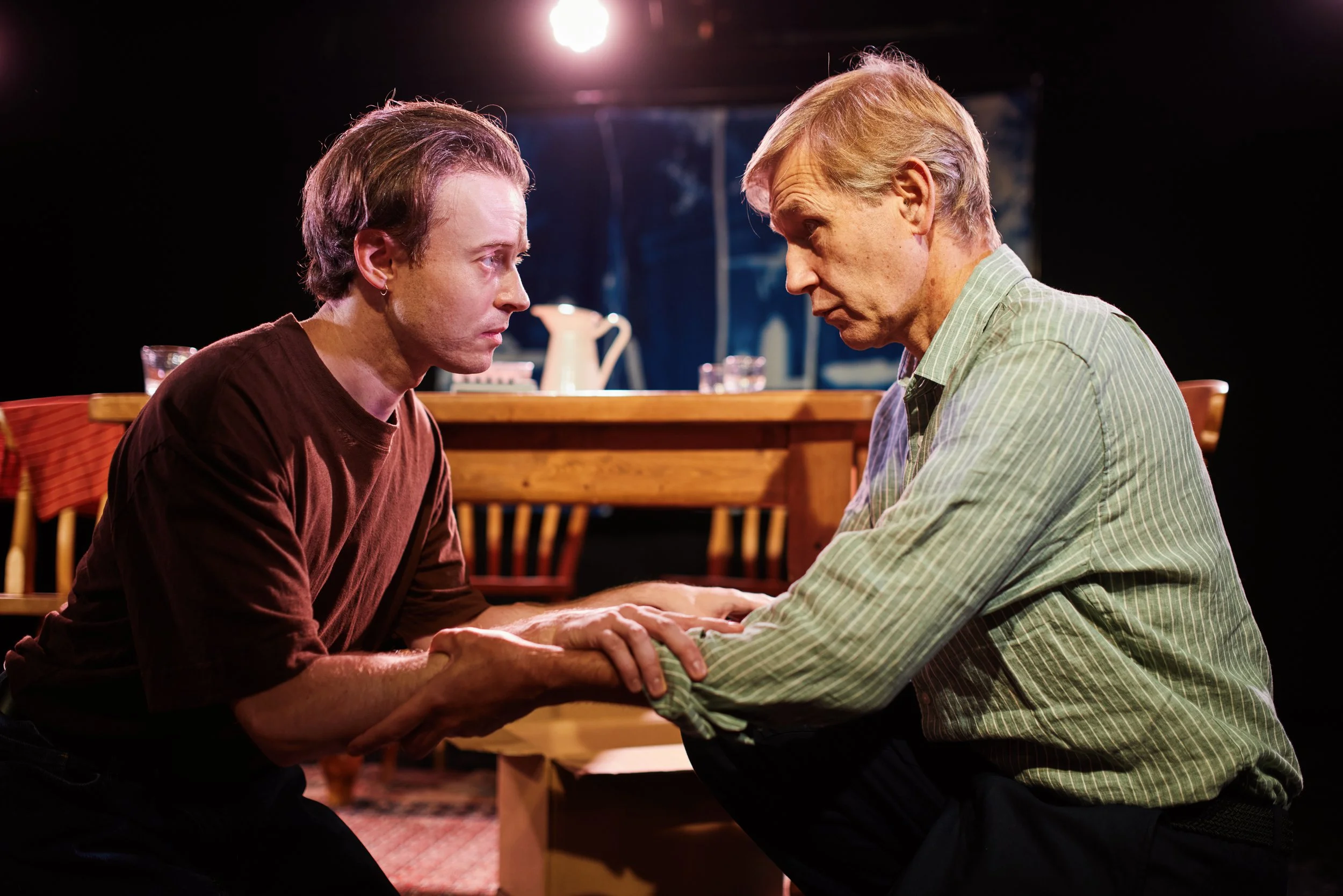Now: SANCTUARY | Pleasance Dome
