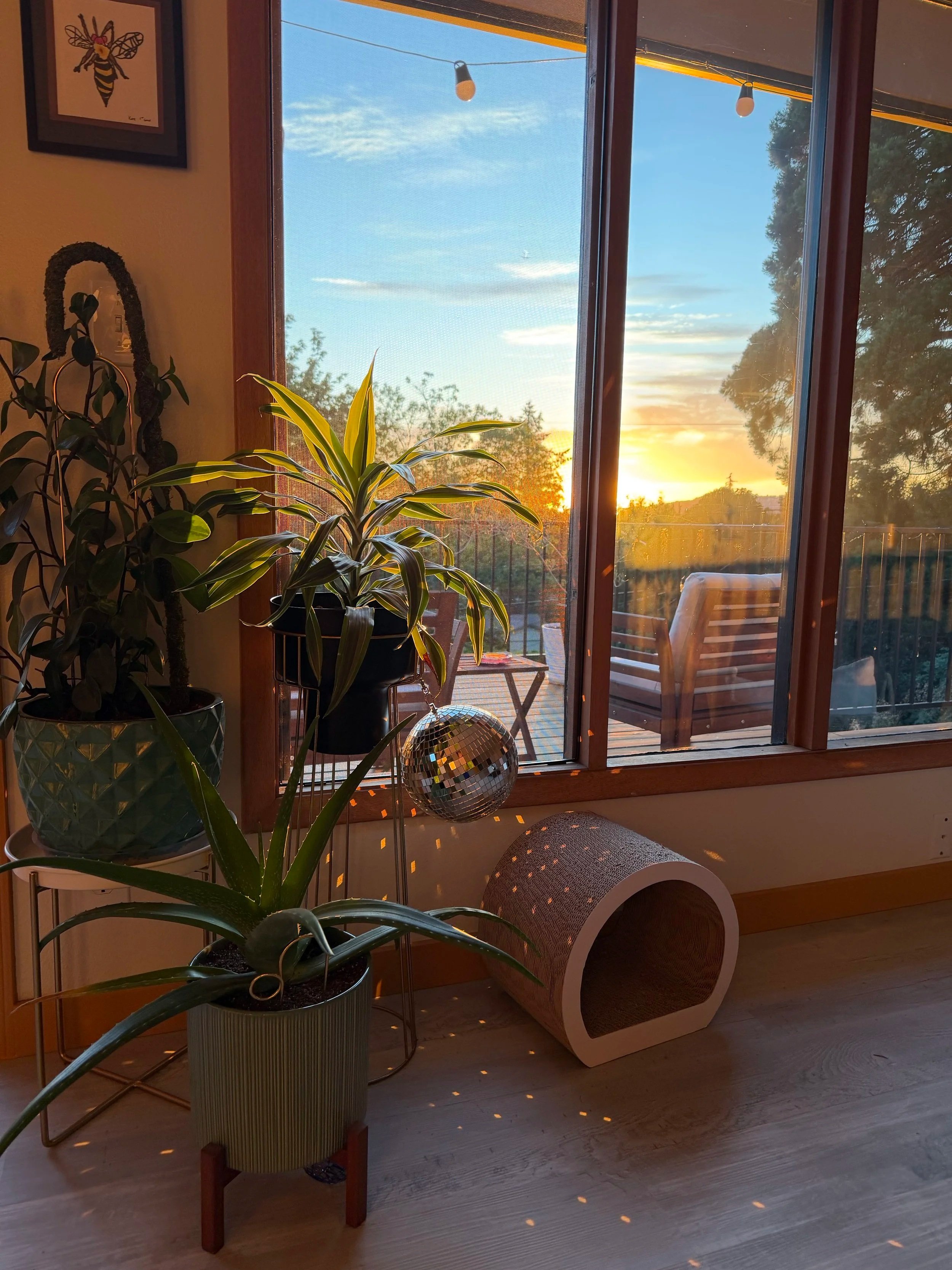 What Does Sanctuary Look Like for You?