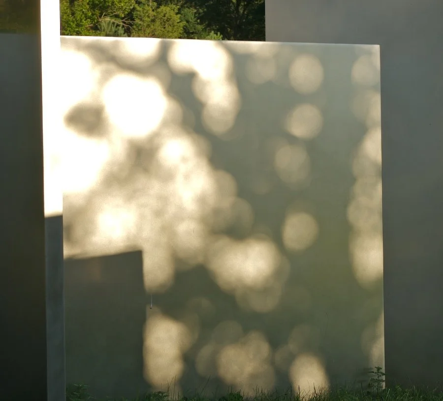 Dappled Light