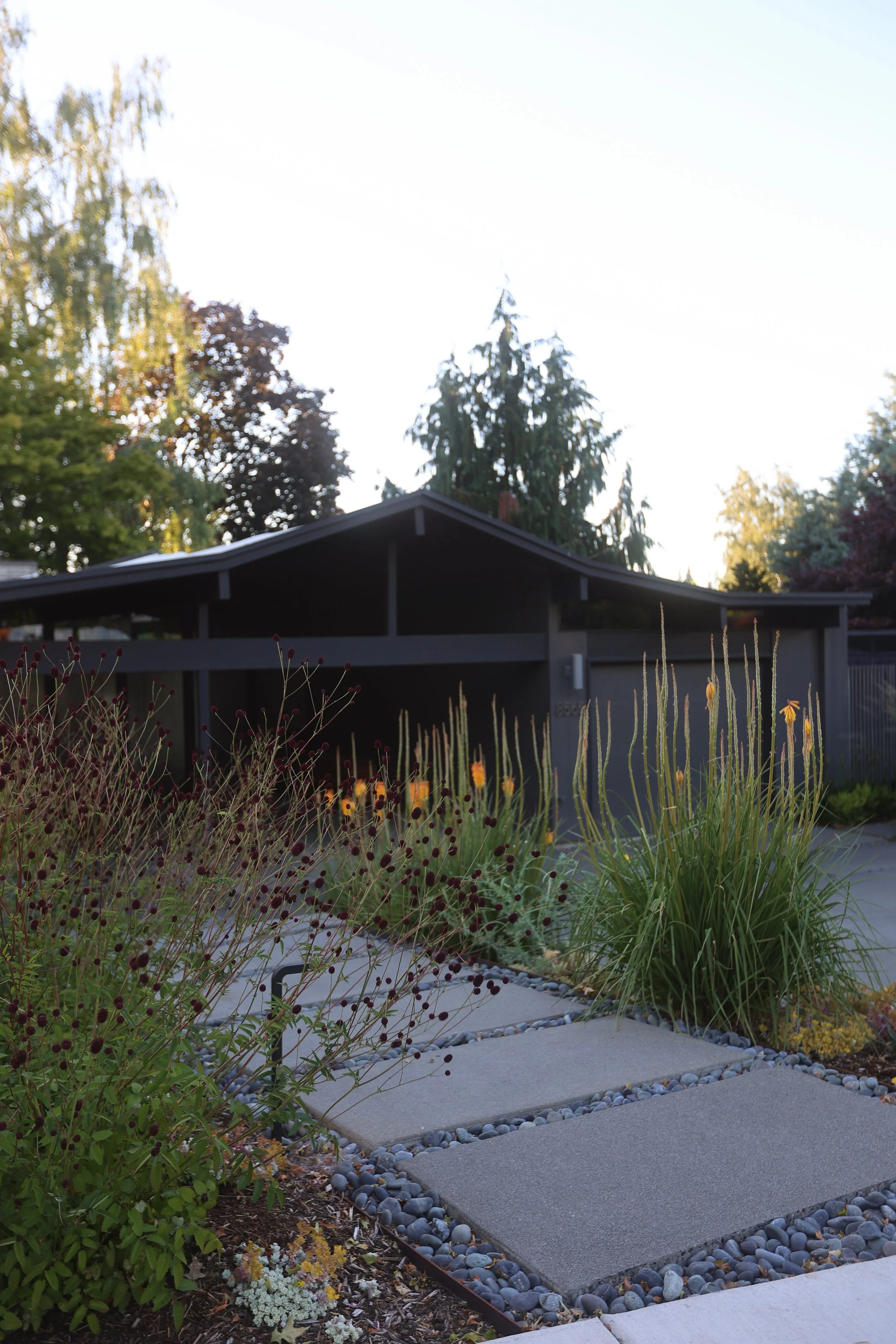 front-path-landscaping.jpg