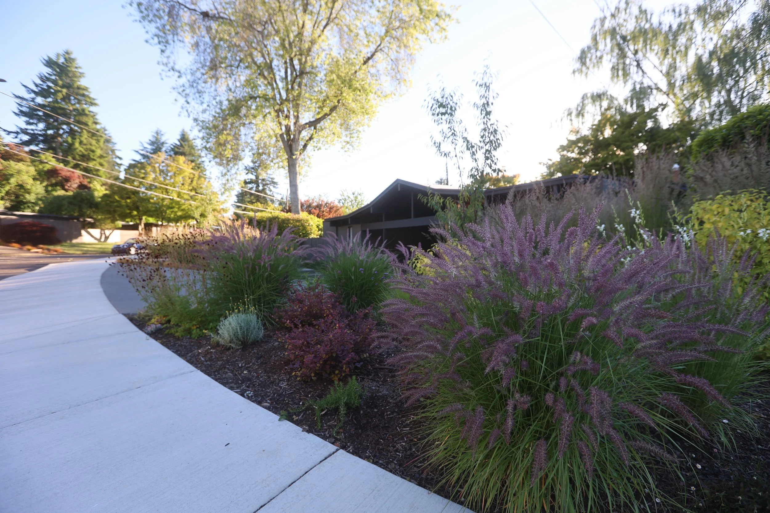 beautiful sustainable flowers and plants.jpg
