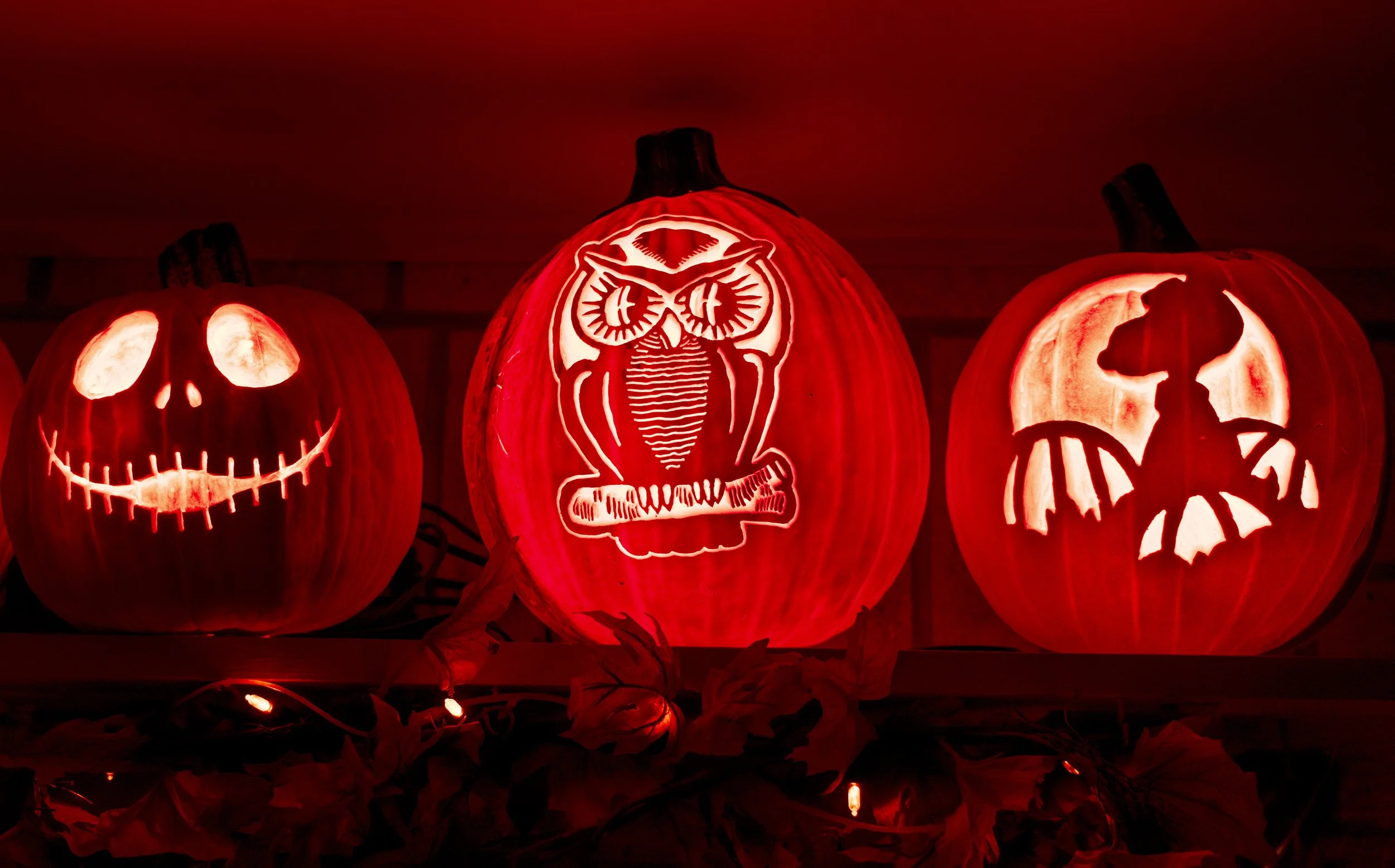 3 Pumpkins 02185.jpg