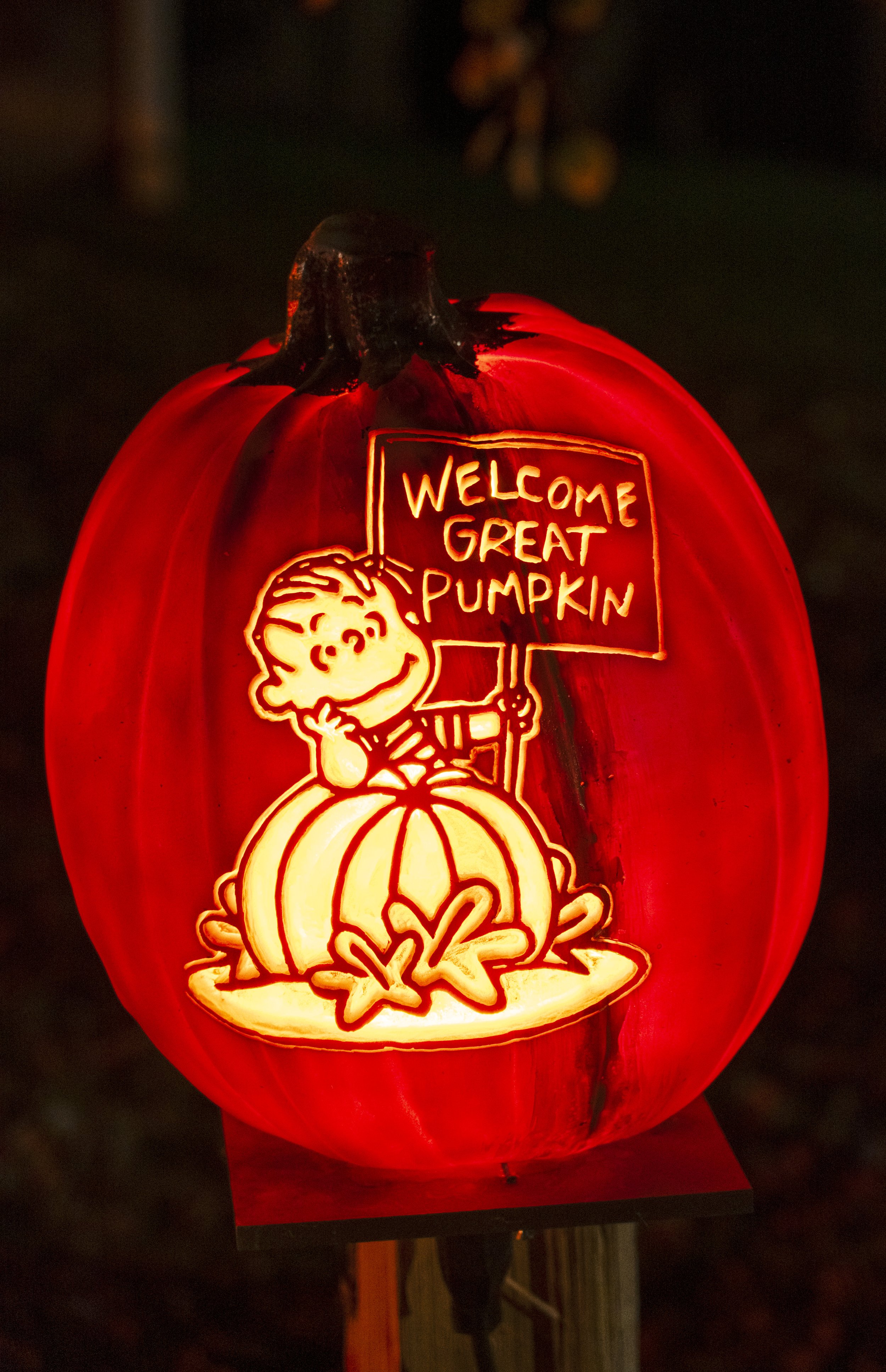 Peanuts - Linus Welcome Great Pumpkin 02211.jpg