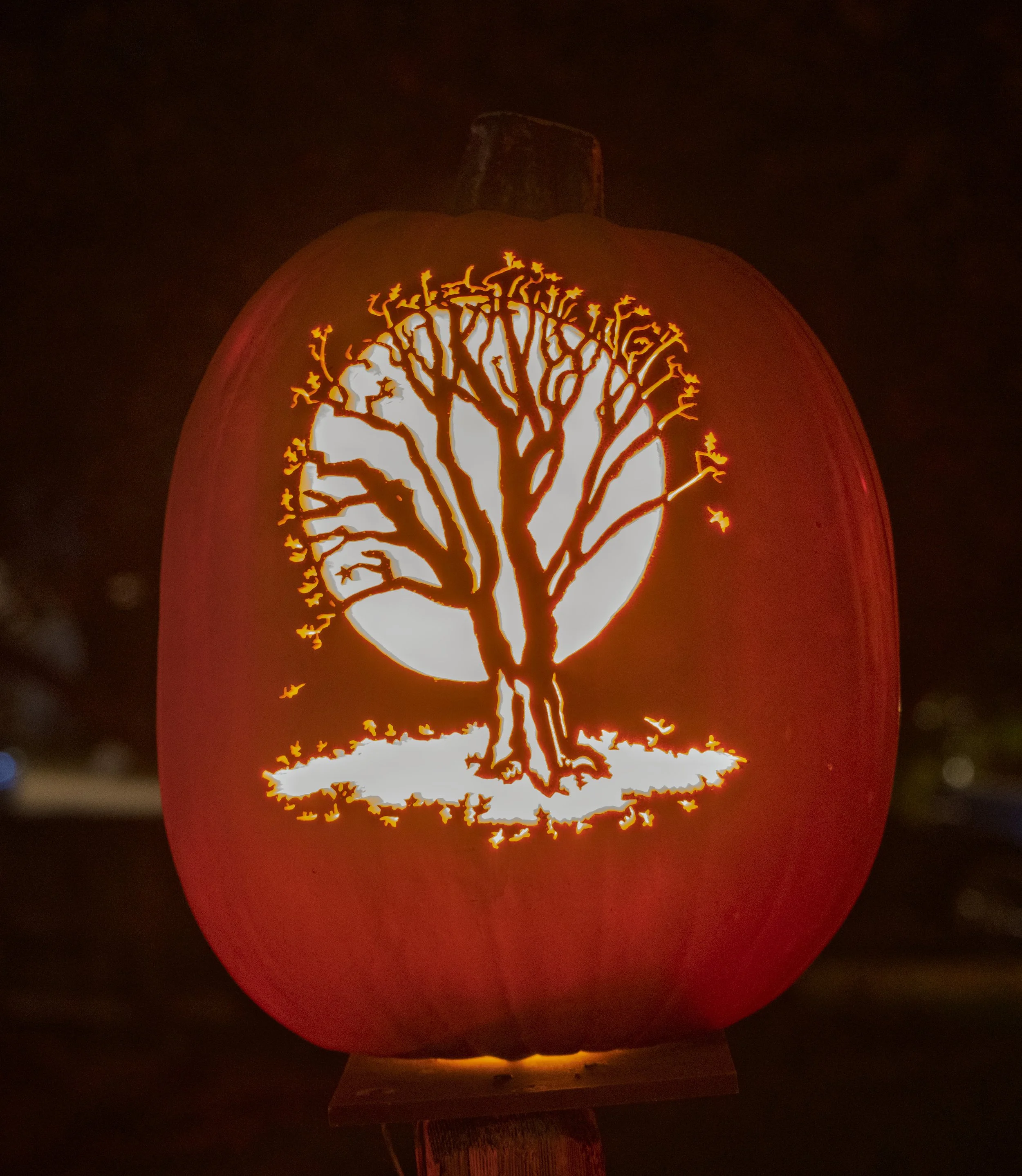 Autumn Tree & Moon 02108.jpg