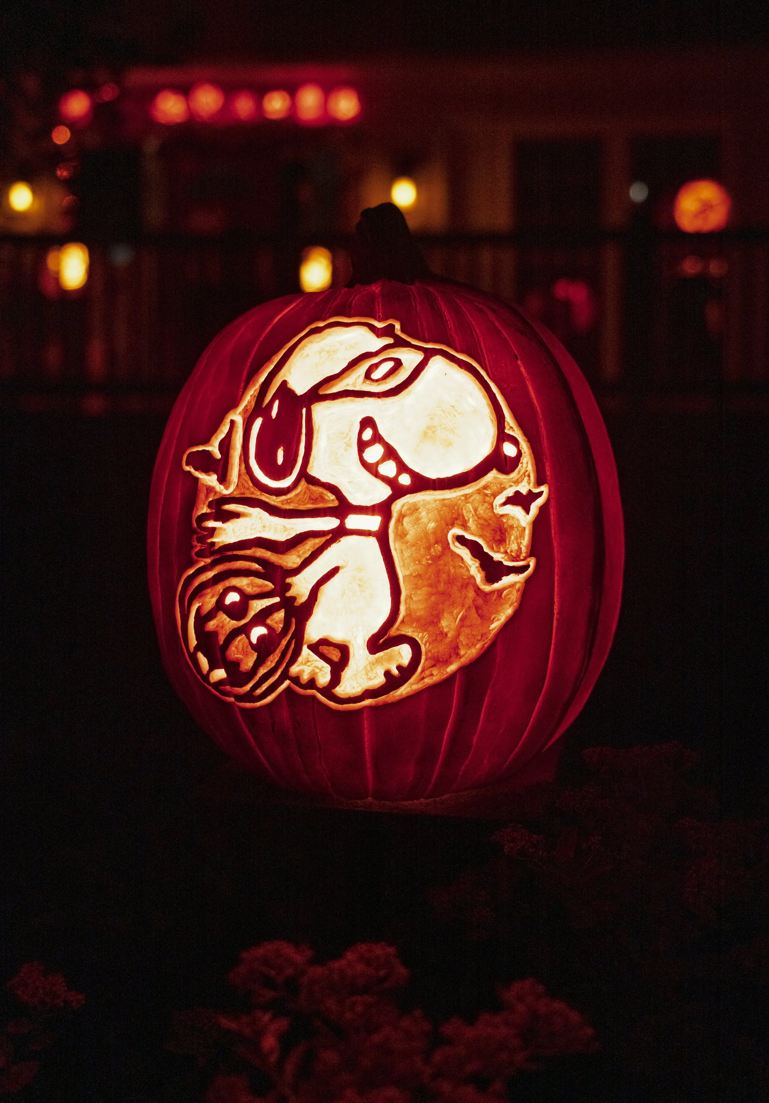 Peanuts - Snoopy 02075.jpg