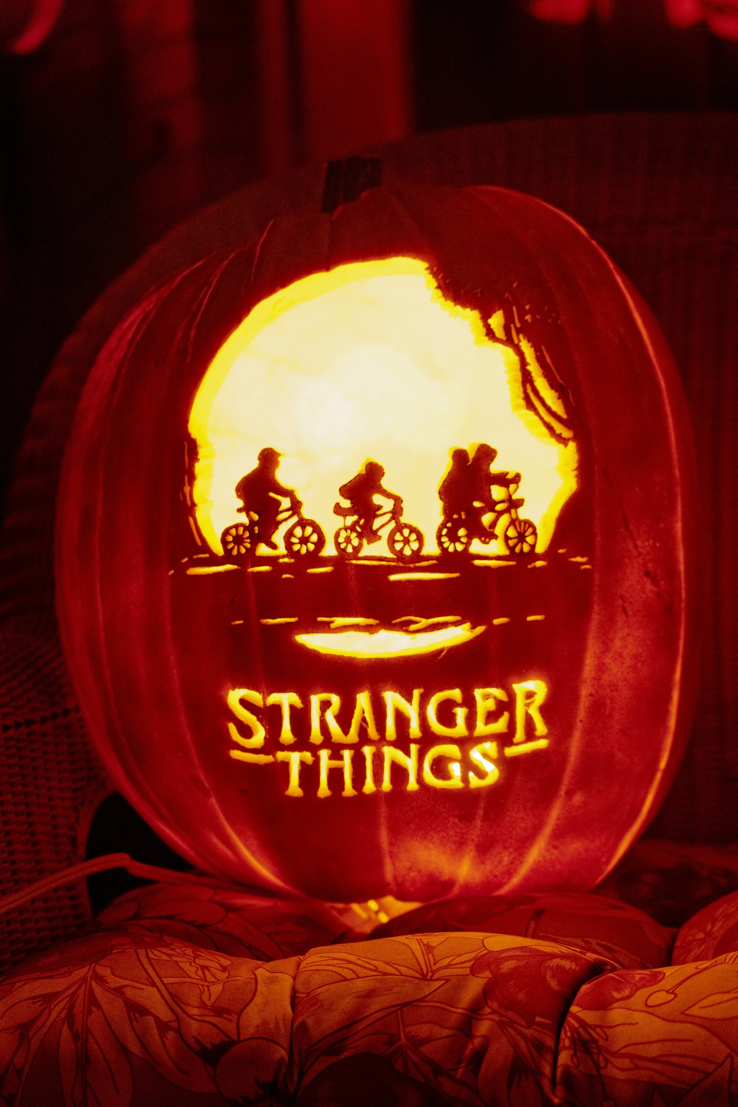 Stranger Things 02161.jpg