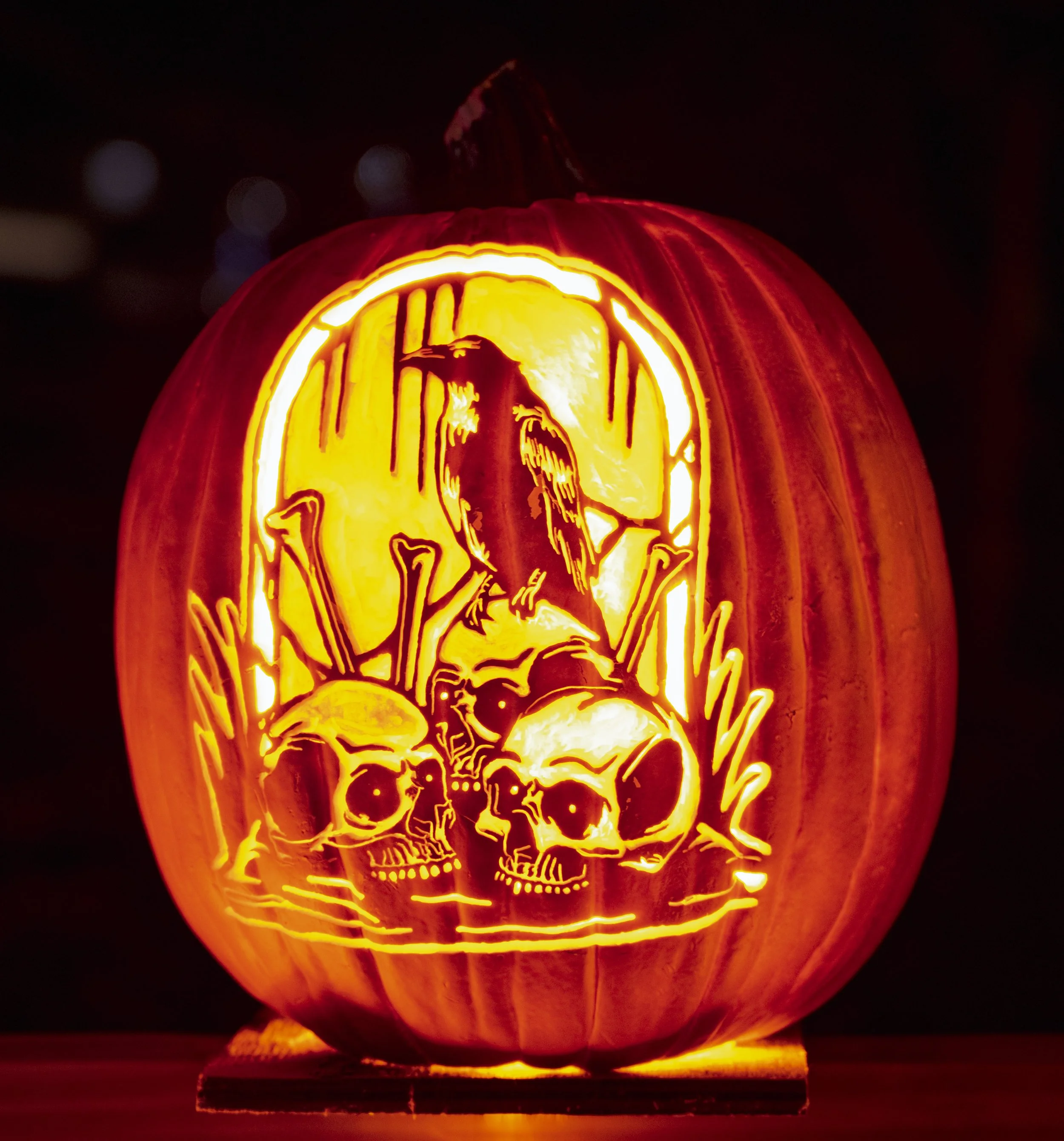 Raven Skulls 02110.jpg