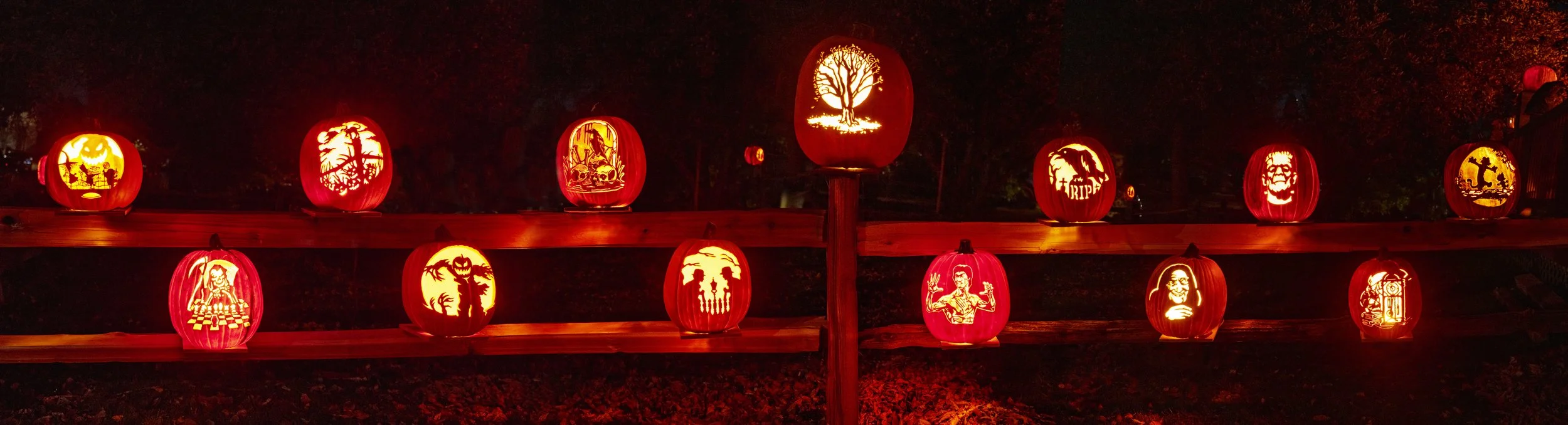 13 Pumpkin Fence 02209.jpg