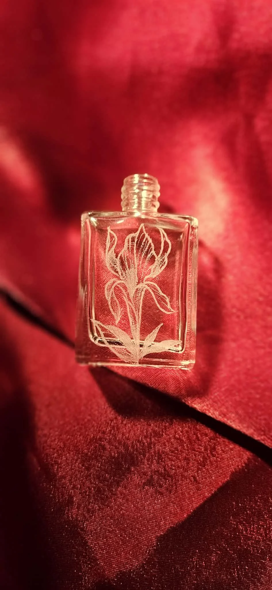 February birth flower-
Iris