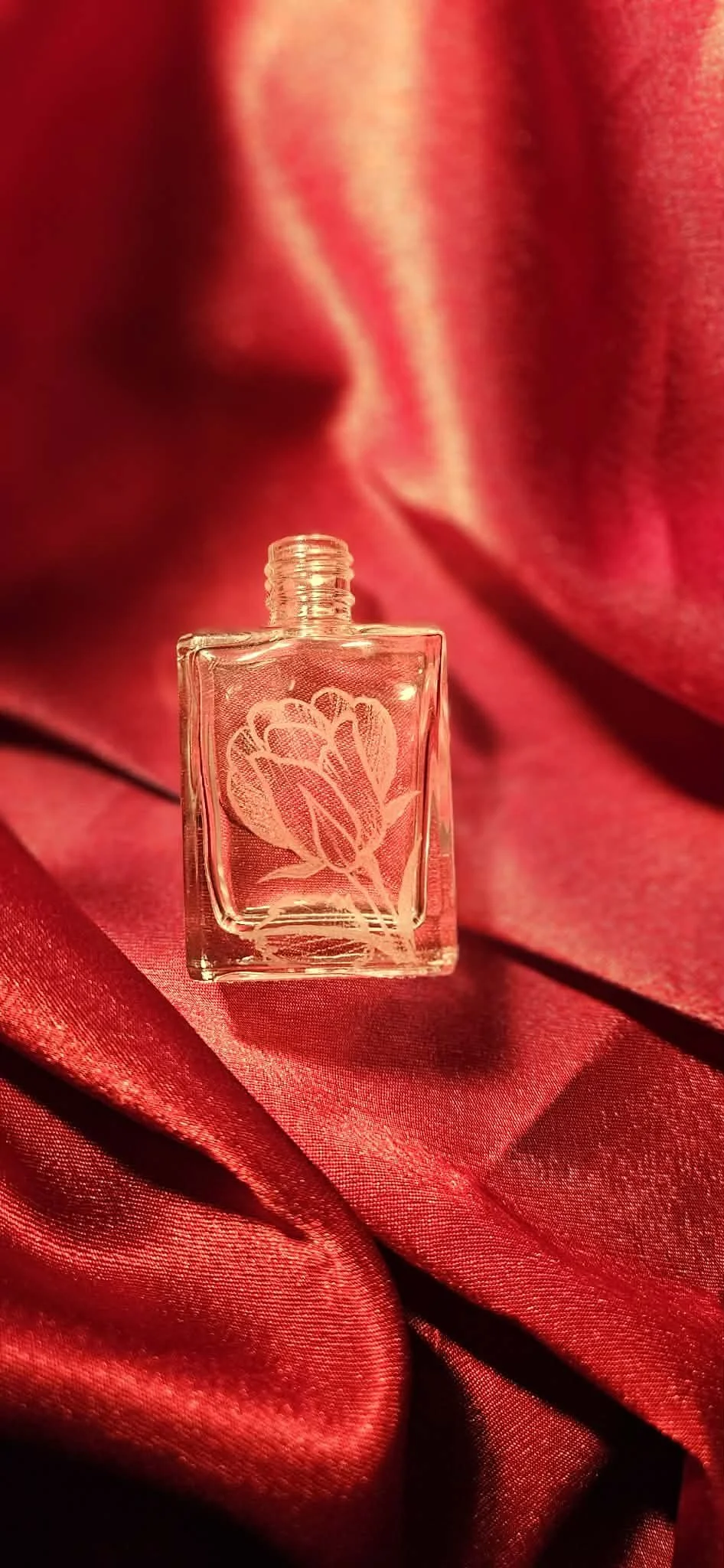 June birth flower-
Rose