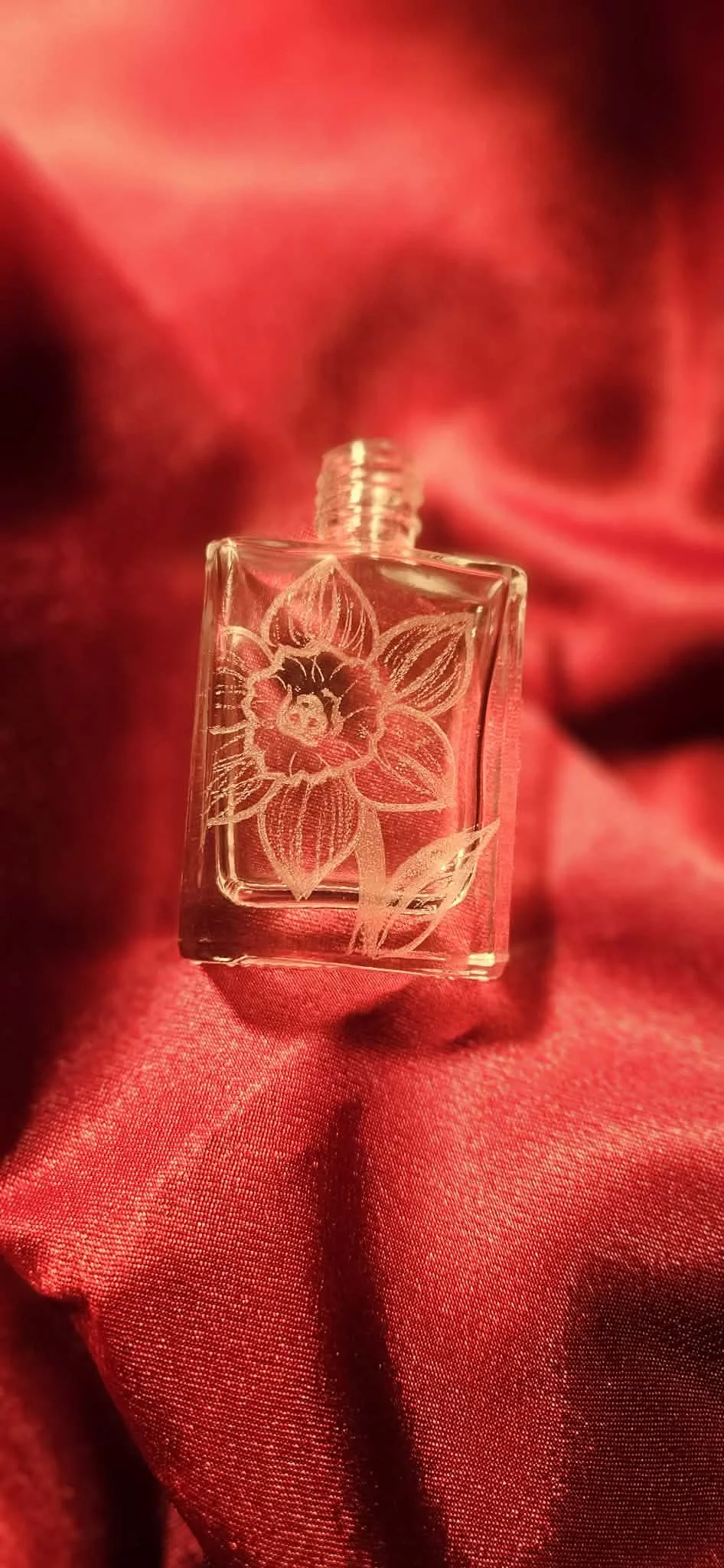 December birth flower-
Narcissus