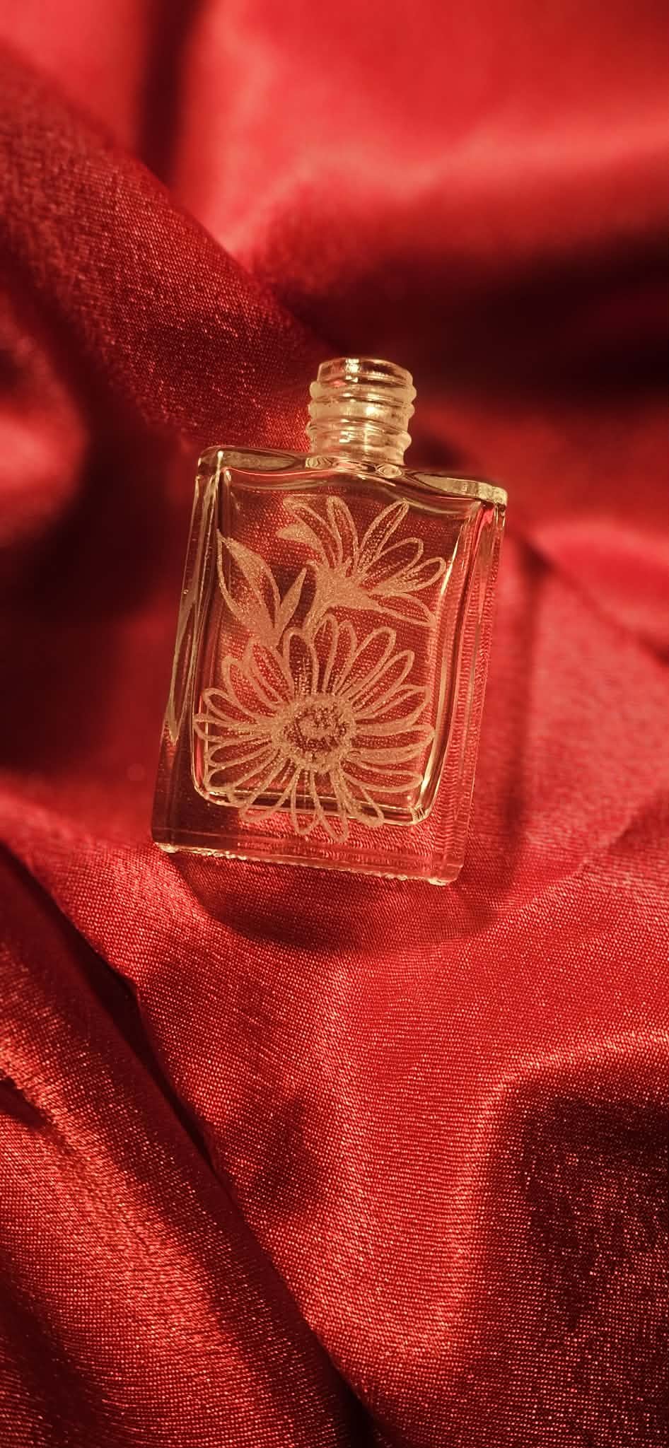 September birth flower-
Aster