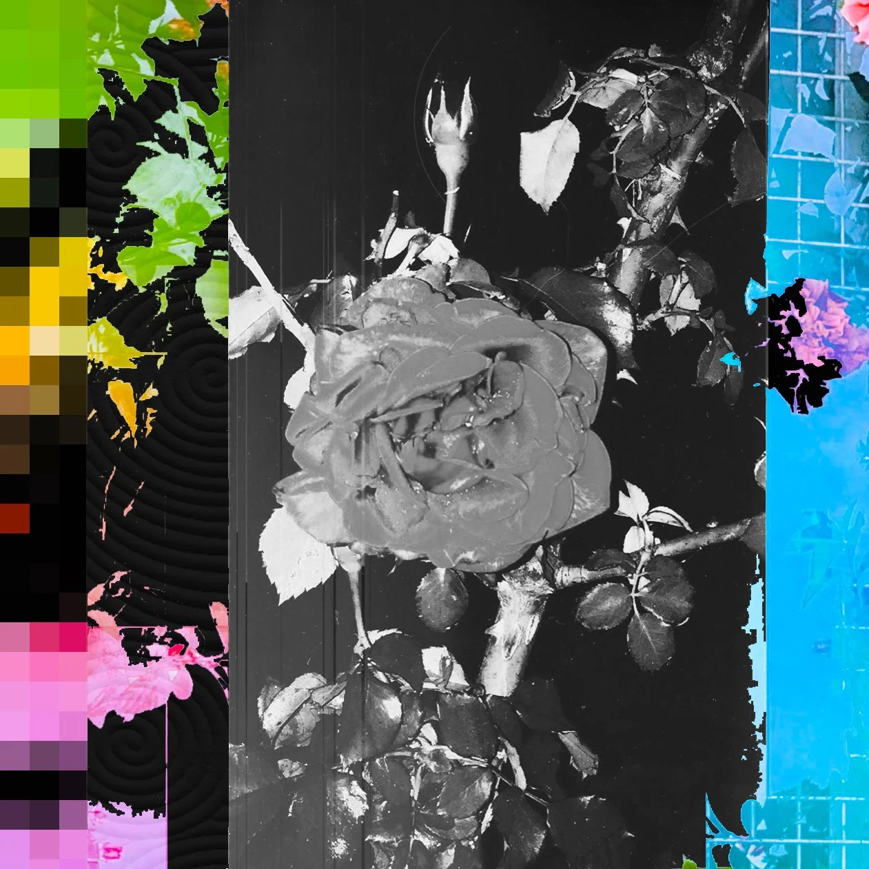 darksonicwallpaper444.jpg