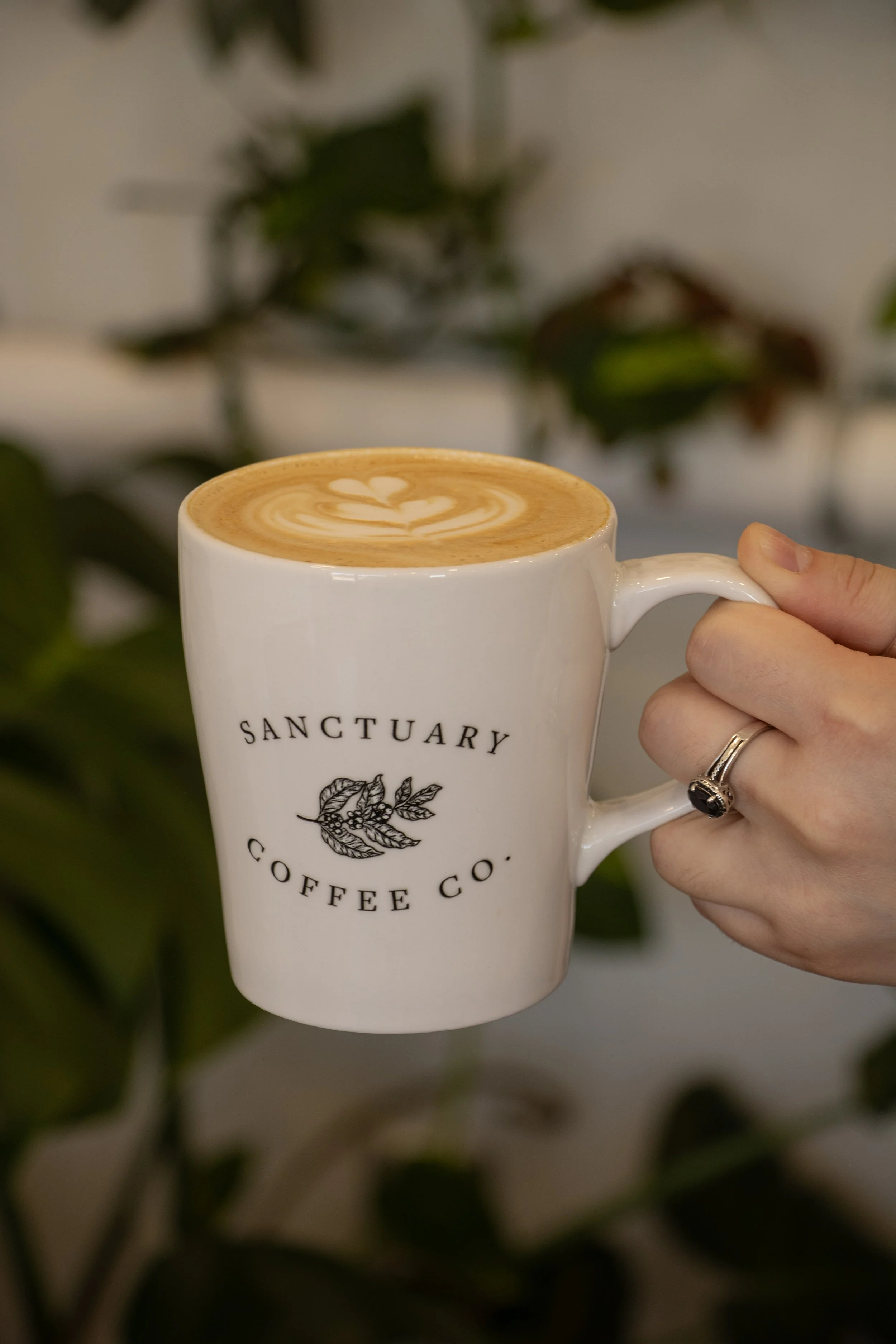 12oz cups