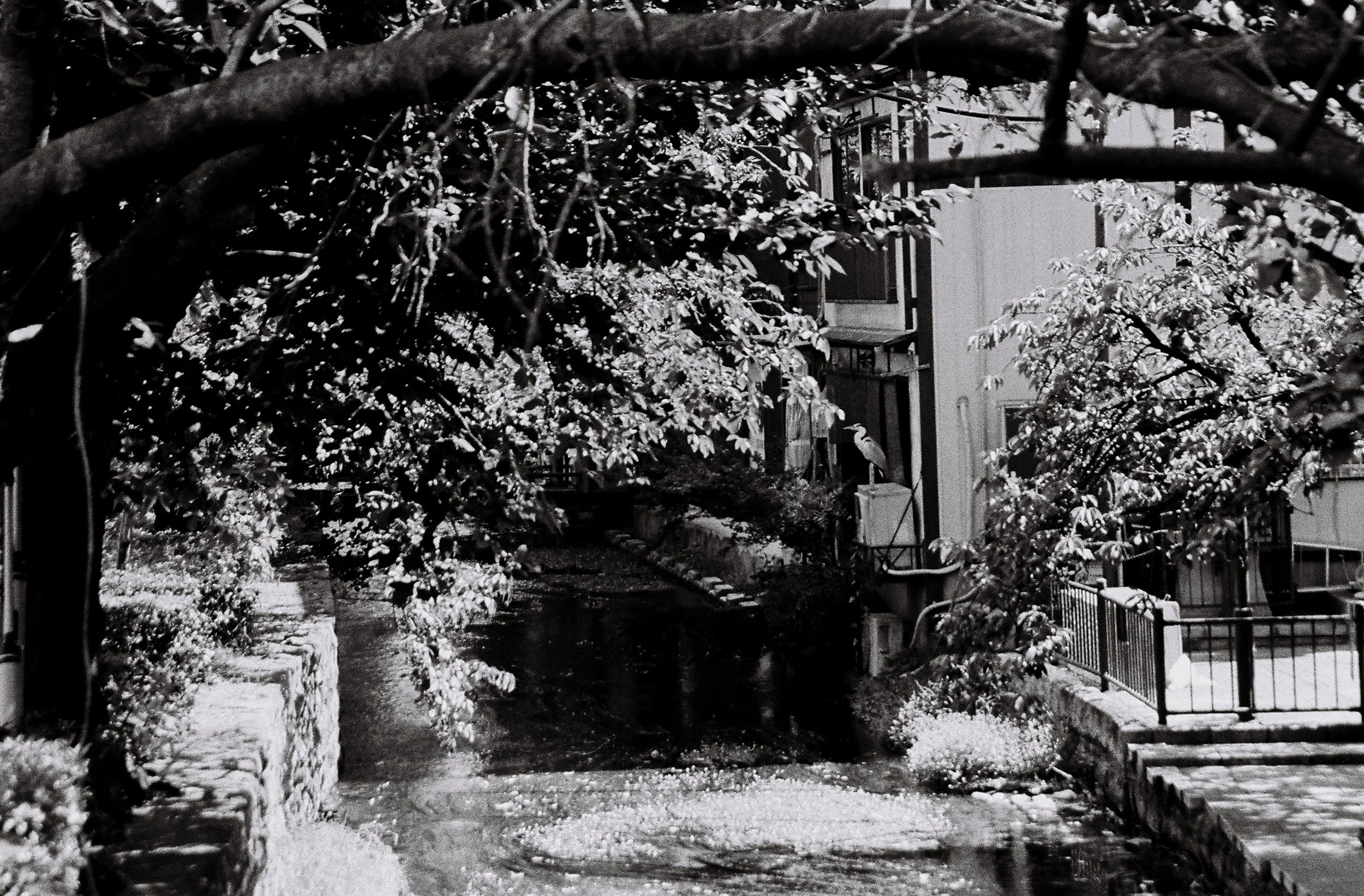 gabr432-R4-E126.jpg