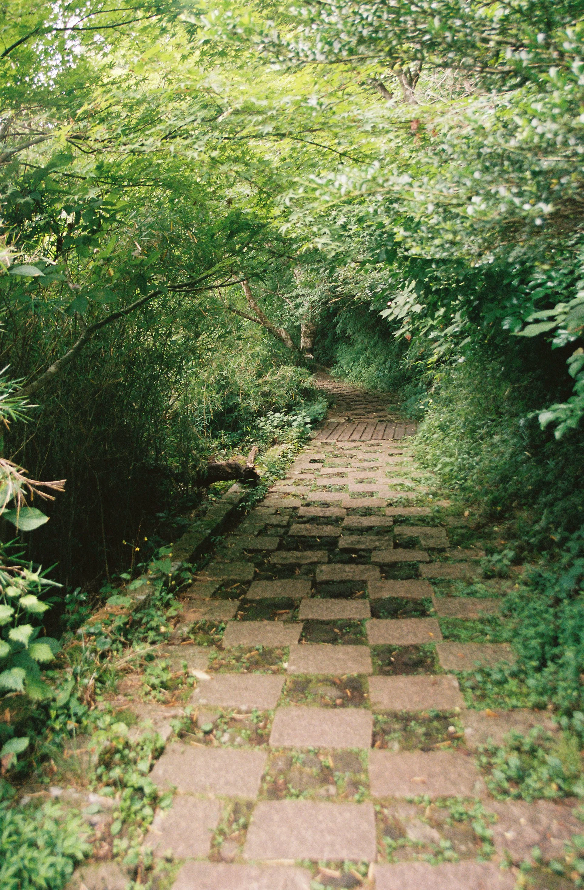 gabr432-R2-062-29A.jpg