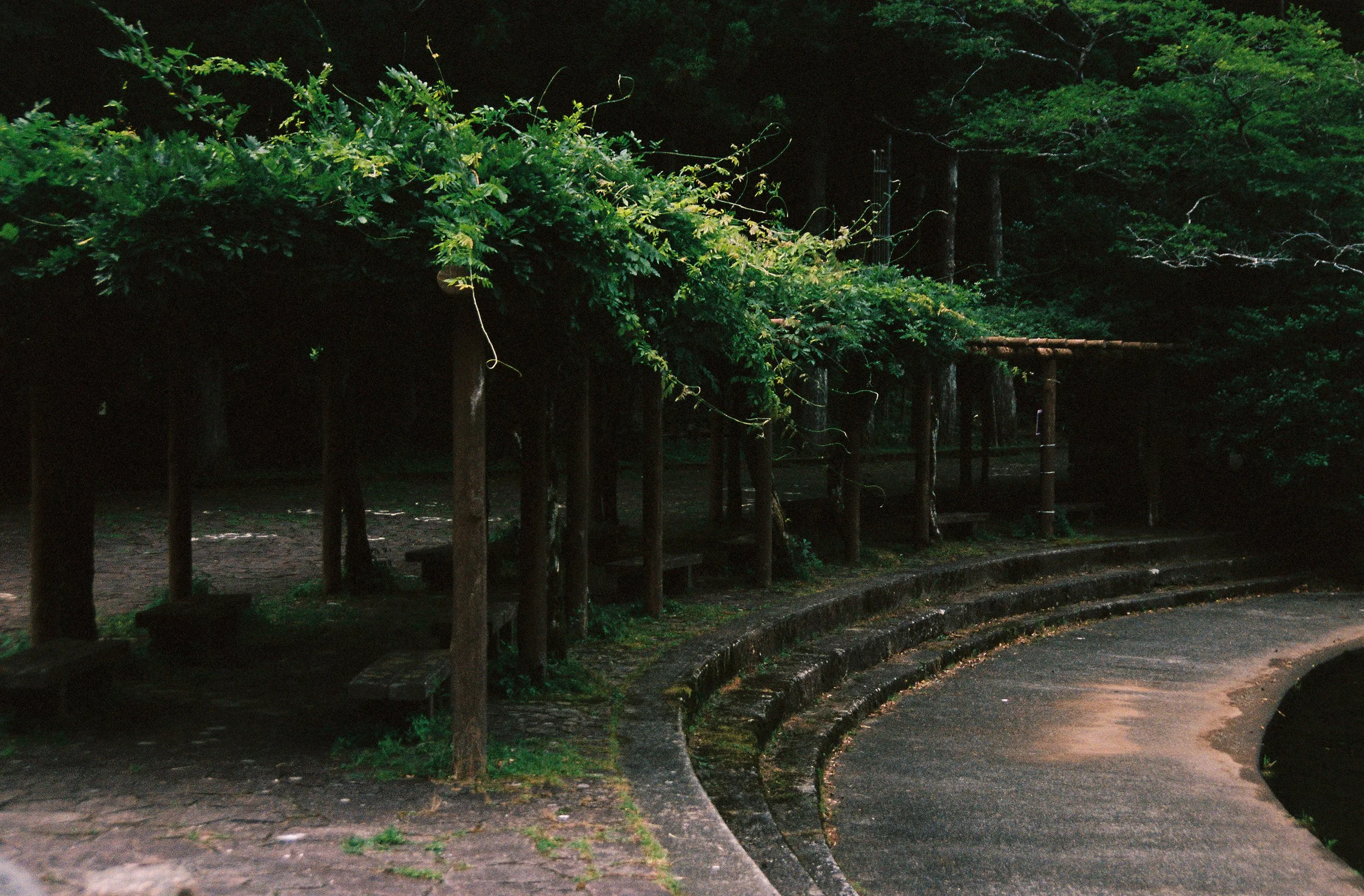 gabr432-R2-060-28A.jpg