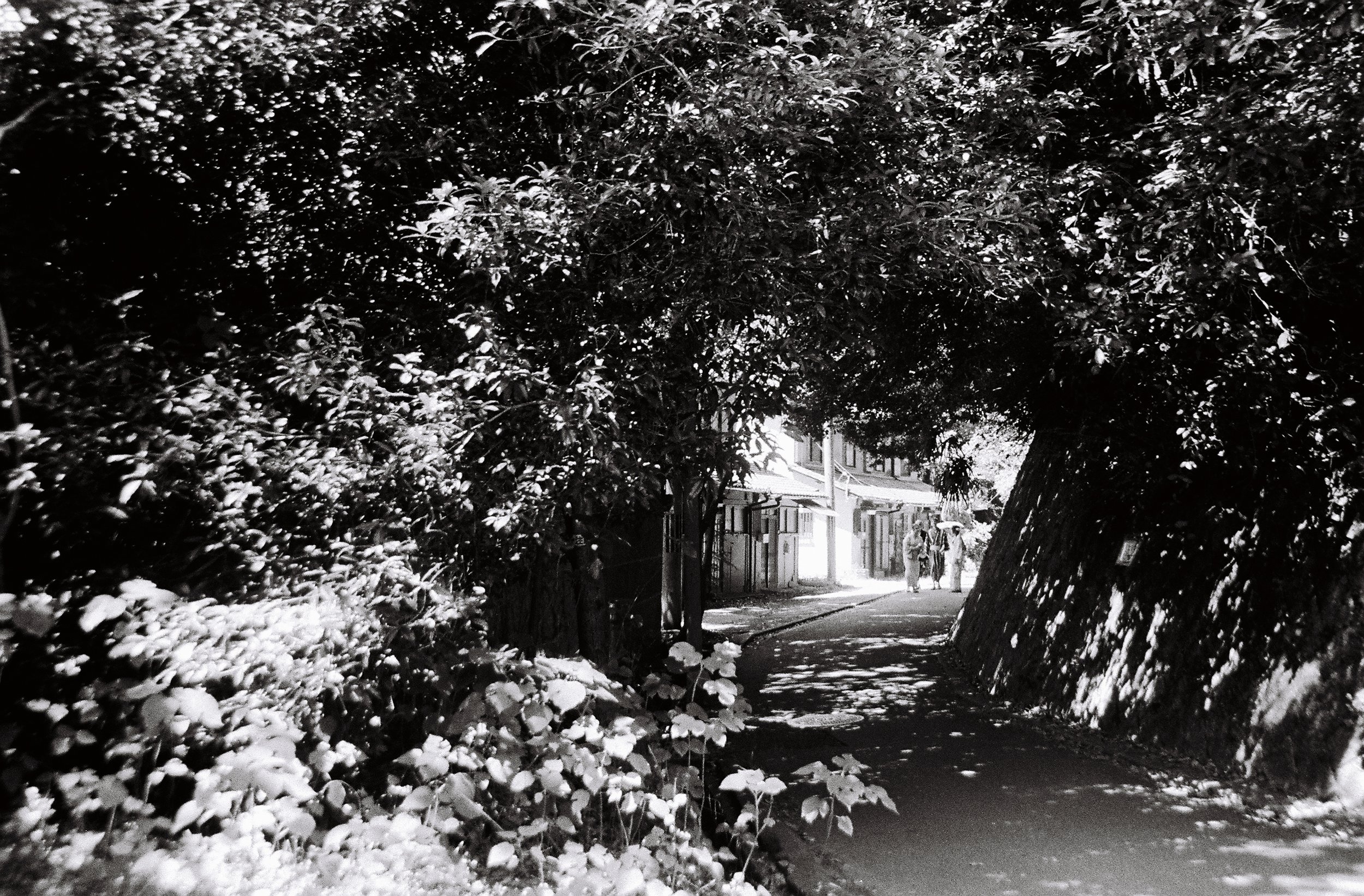 gabr432-R4-E130.jpg