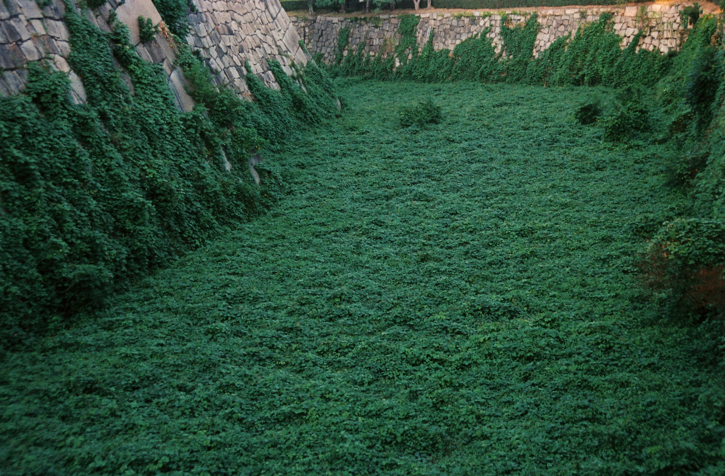 gabr432-R2-010-3A.jpg