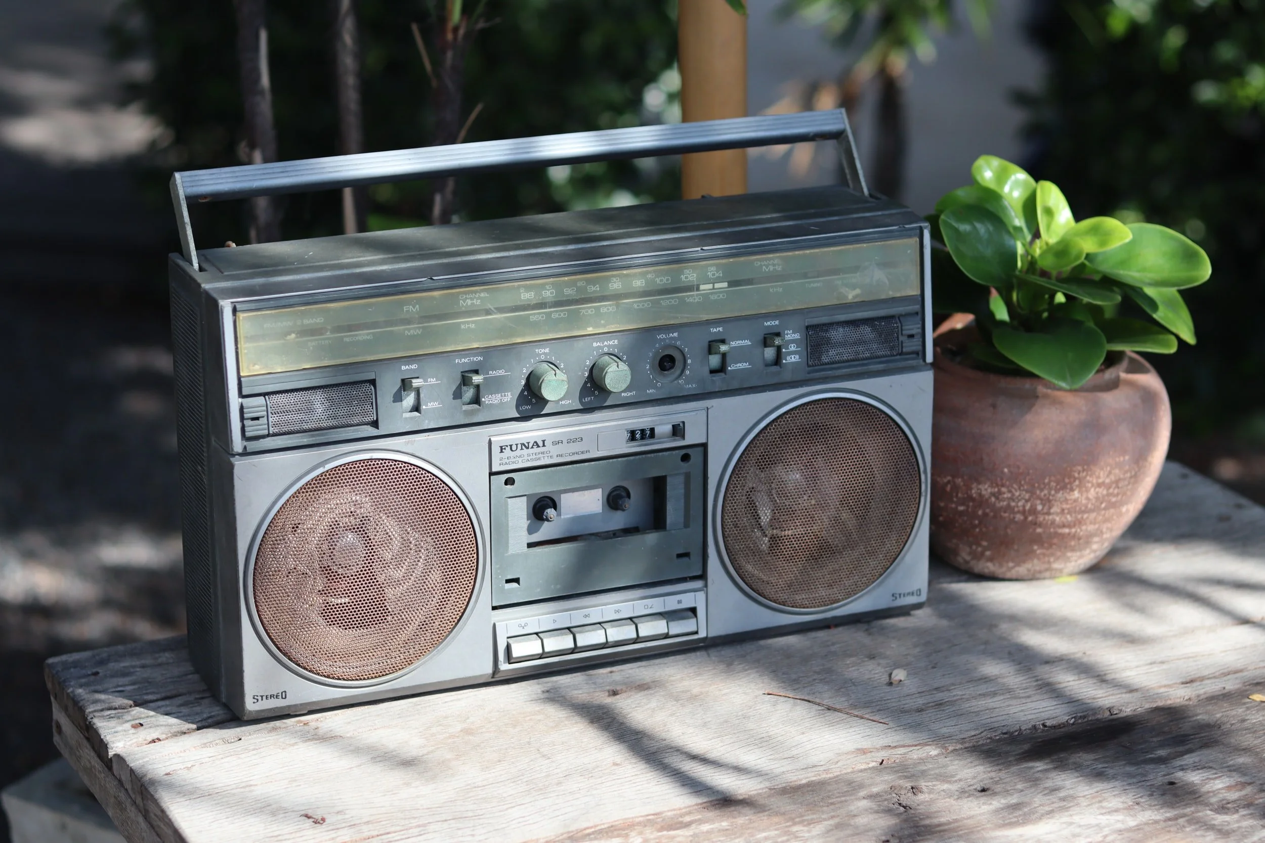 Image of a retro radio with a potted plant next to it.