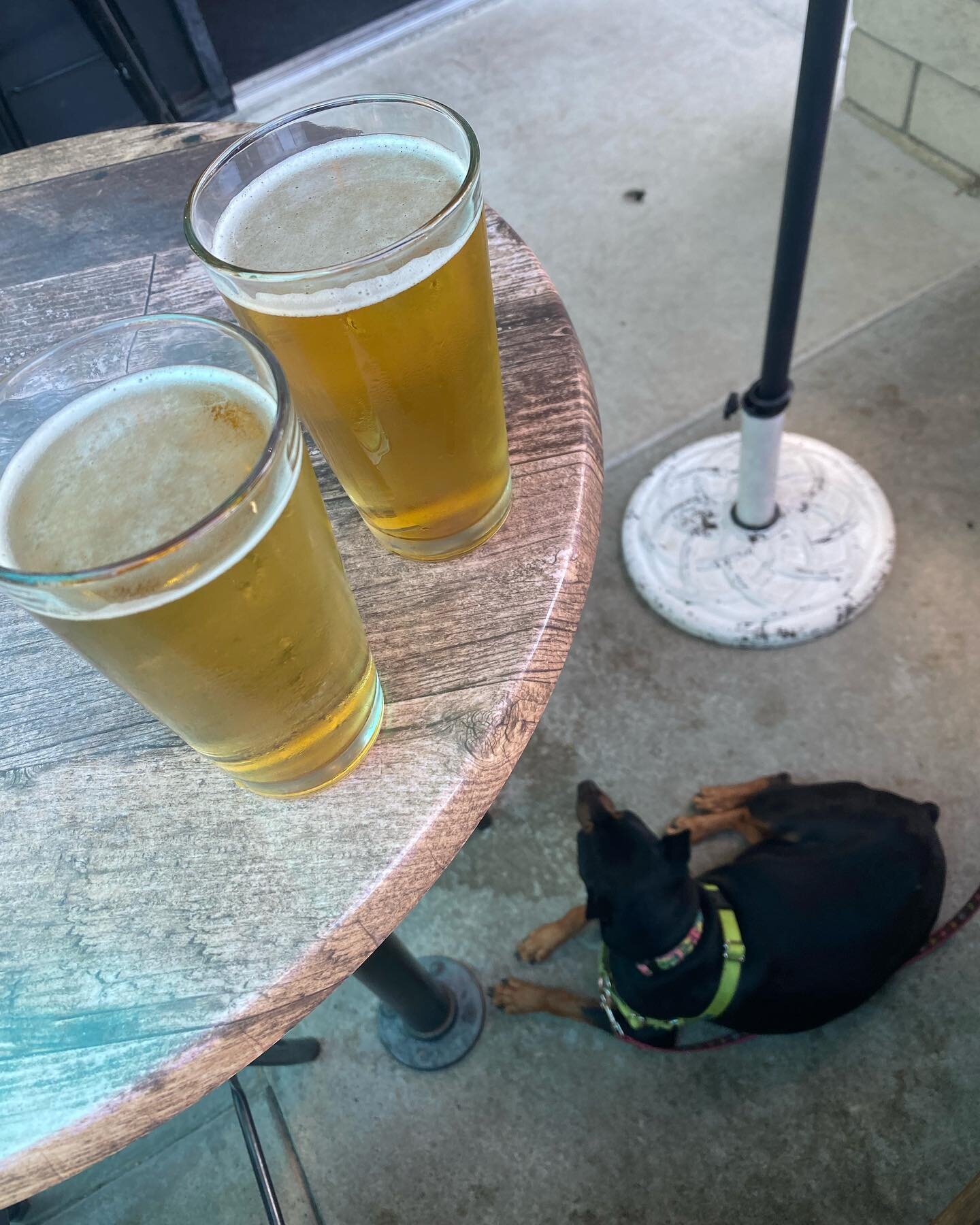 We&rsquo;re Open (12-7p) today on this Labor Day Monday!  Grab your Buddy and come inside out of the heat! #dogfriendly #craftbeer #threesheetsbeer #dublinca  #eastbaybeer #bayareabeer #trivalley